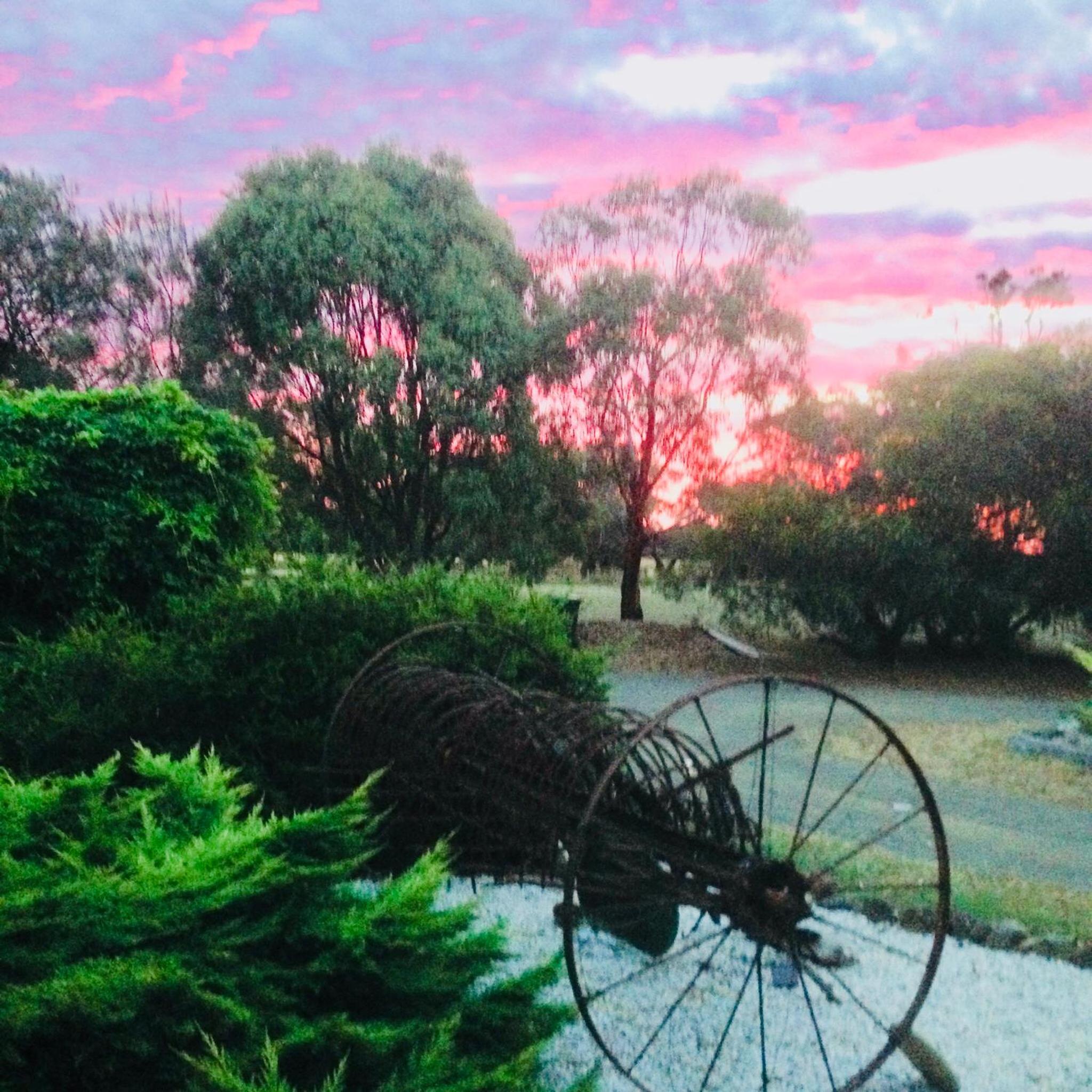 Fairy Wren Cottage Country to Coast Retreat