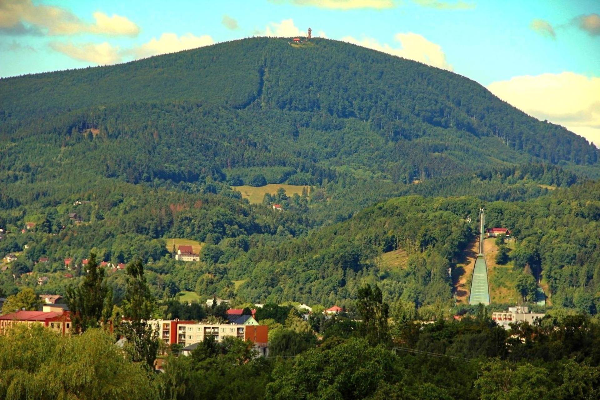 Photo 50