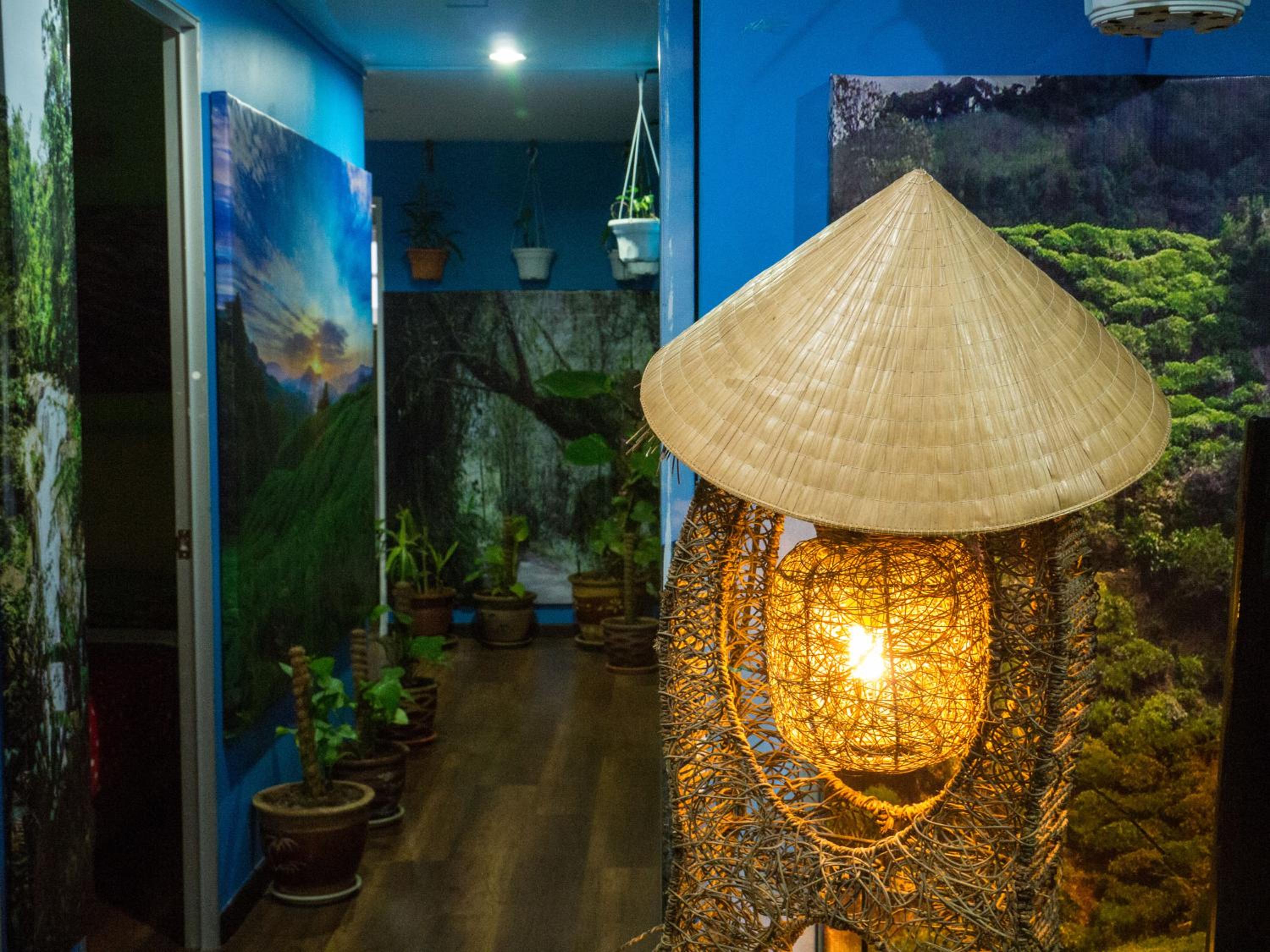 Orchid Haven