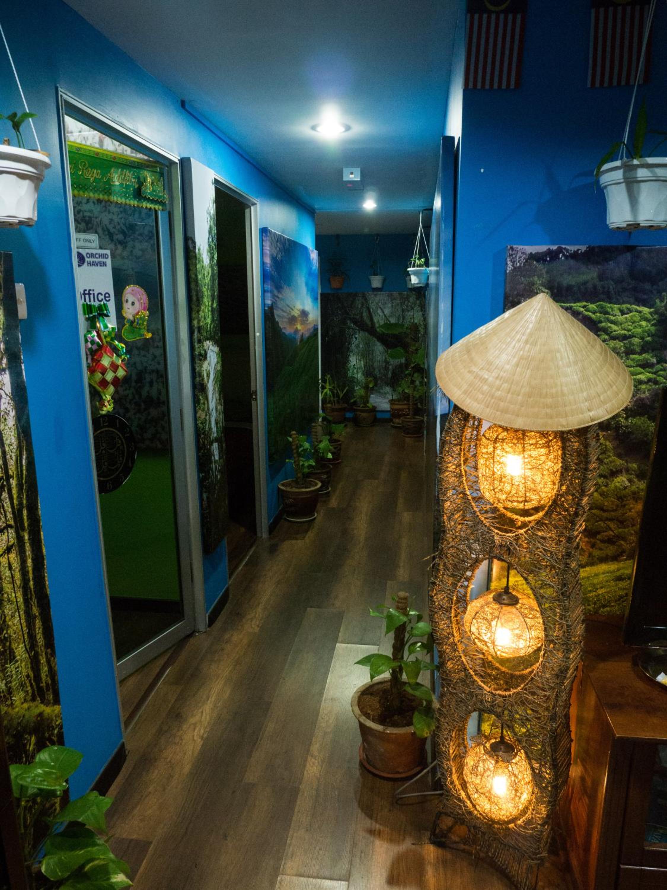 Orchid Haven