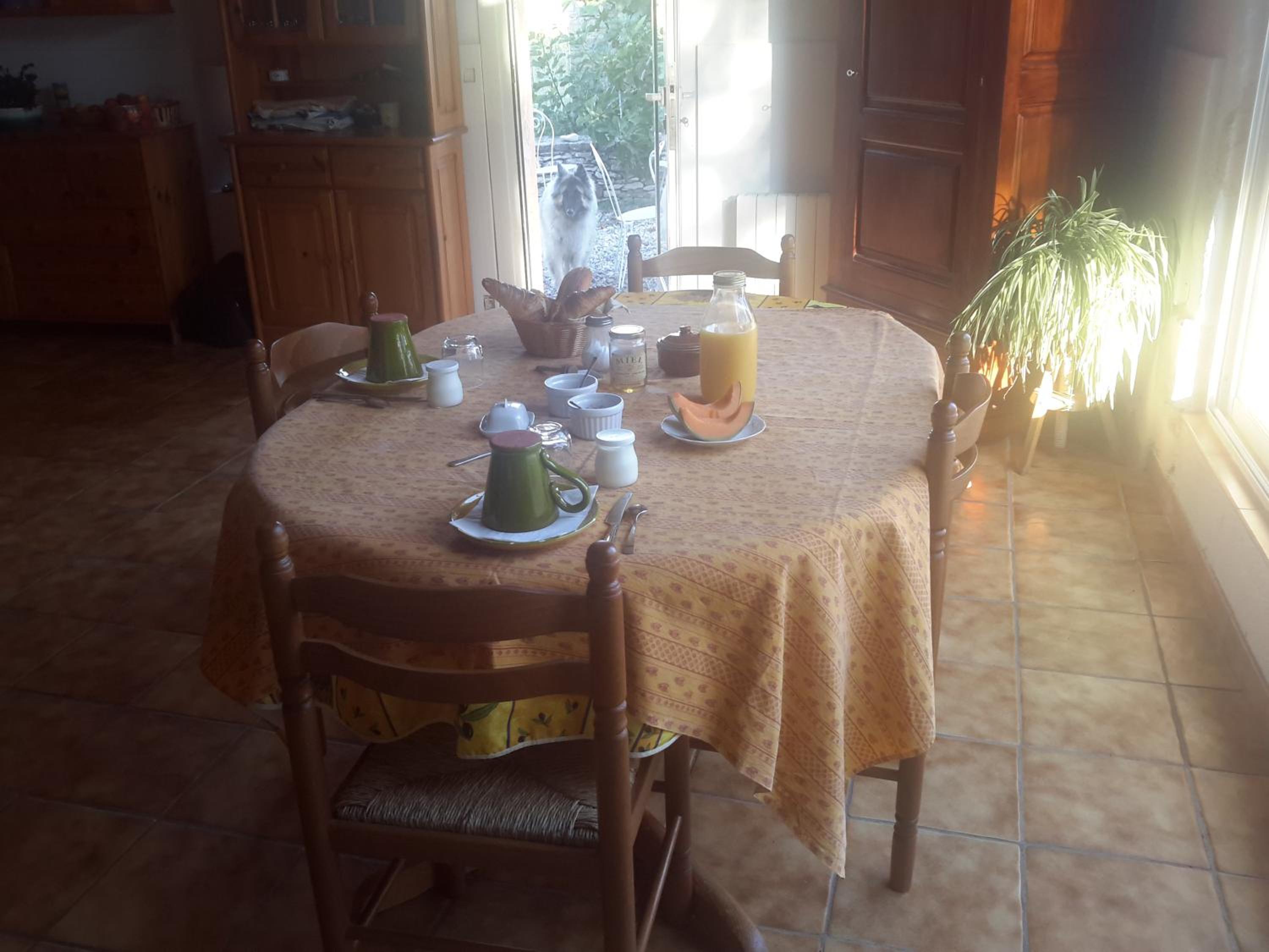 Photo 21