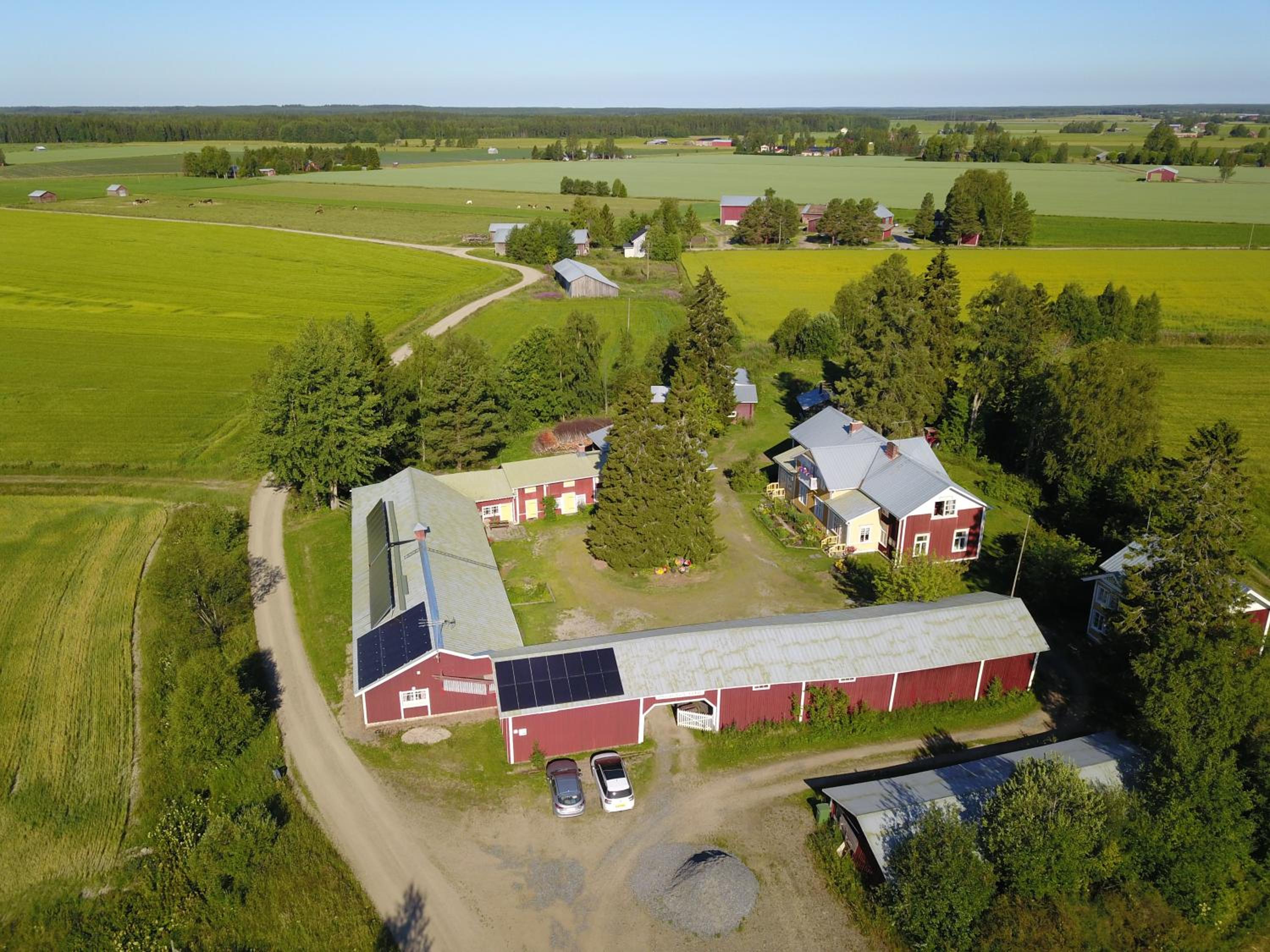 Mäntylän Tila view 5