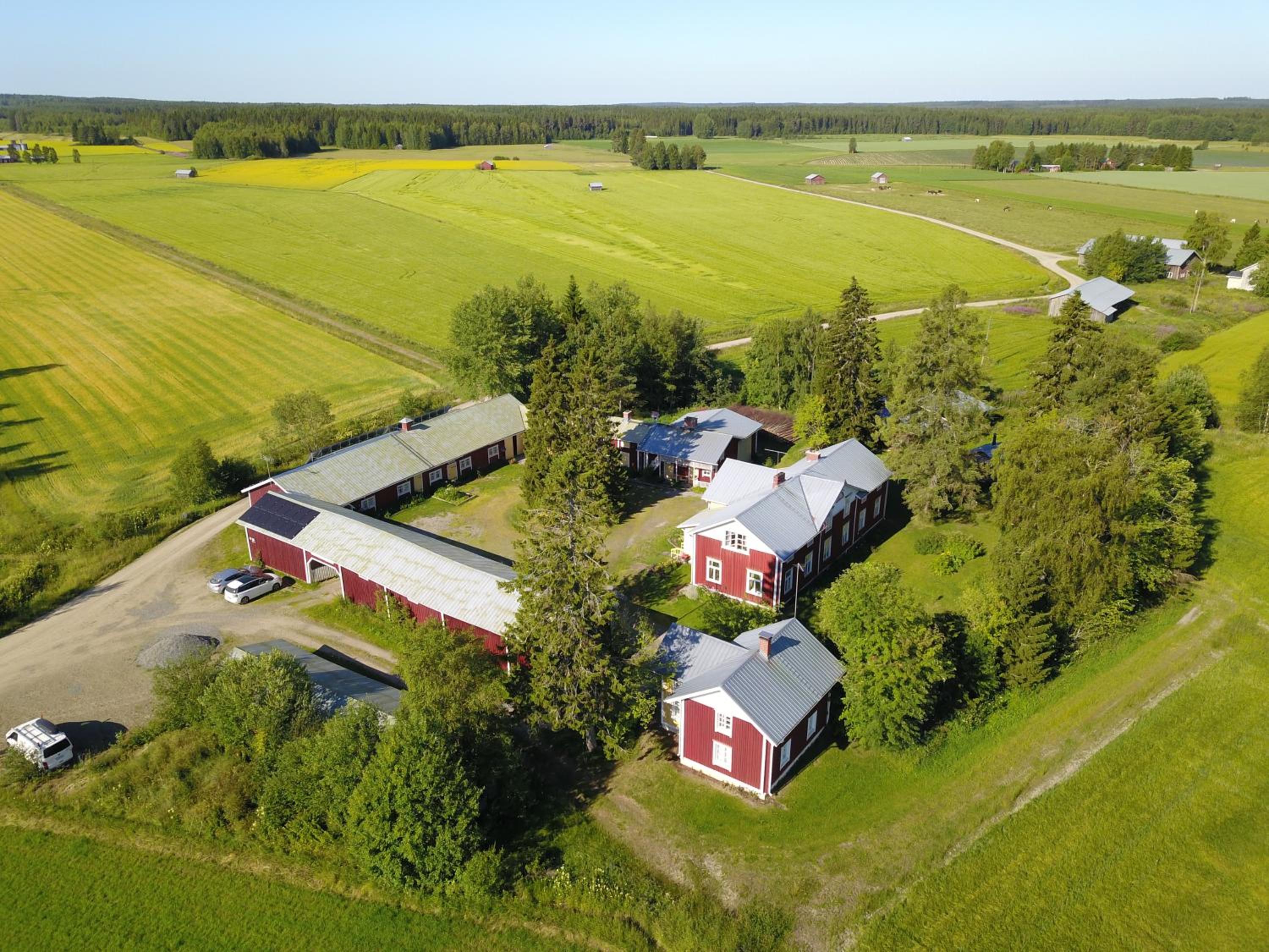 Mäntylän Tila view 4