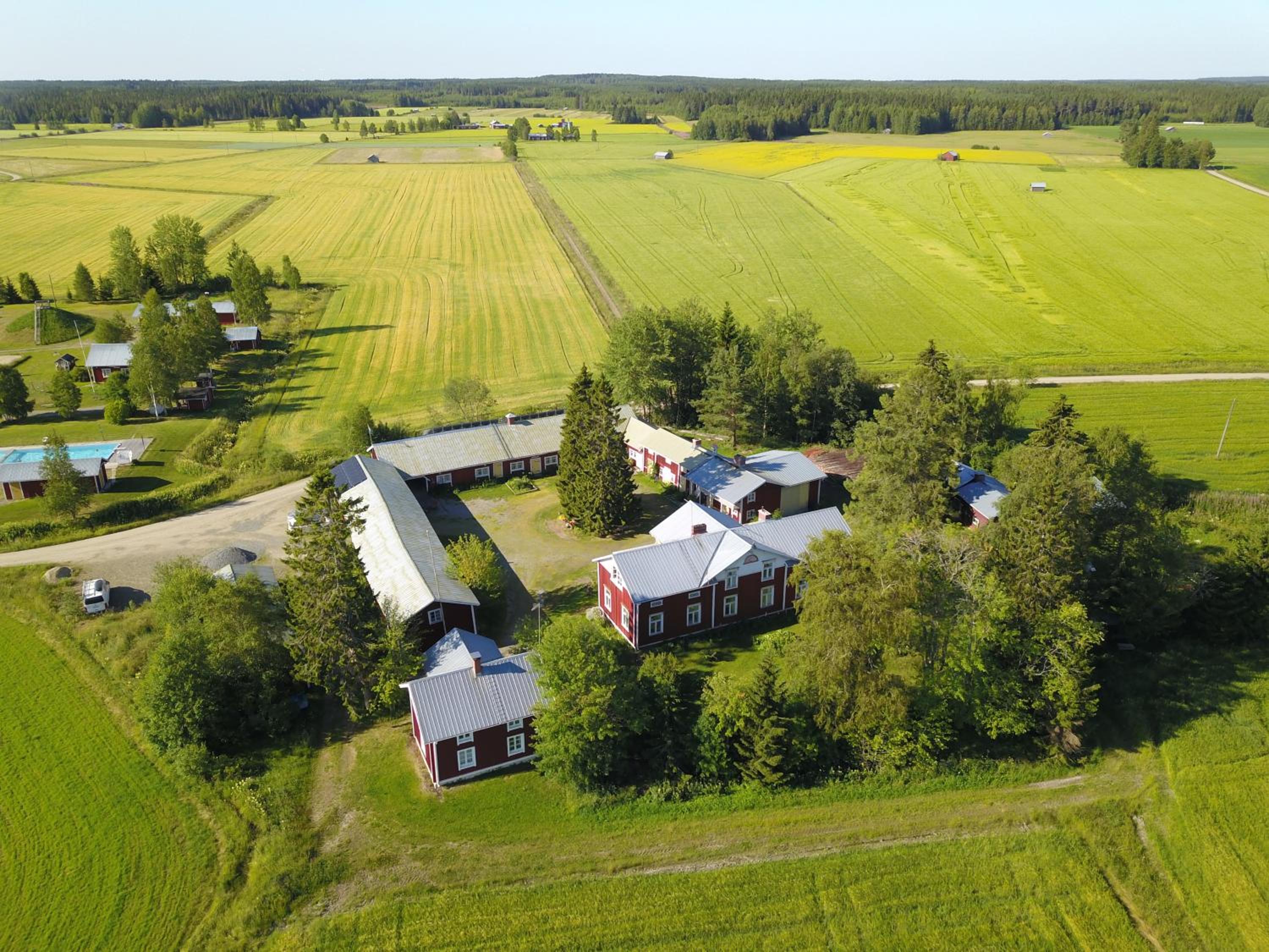 Mäntylän Tila view 3