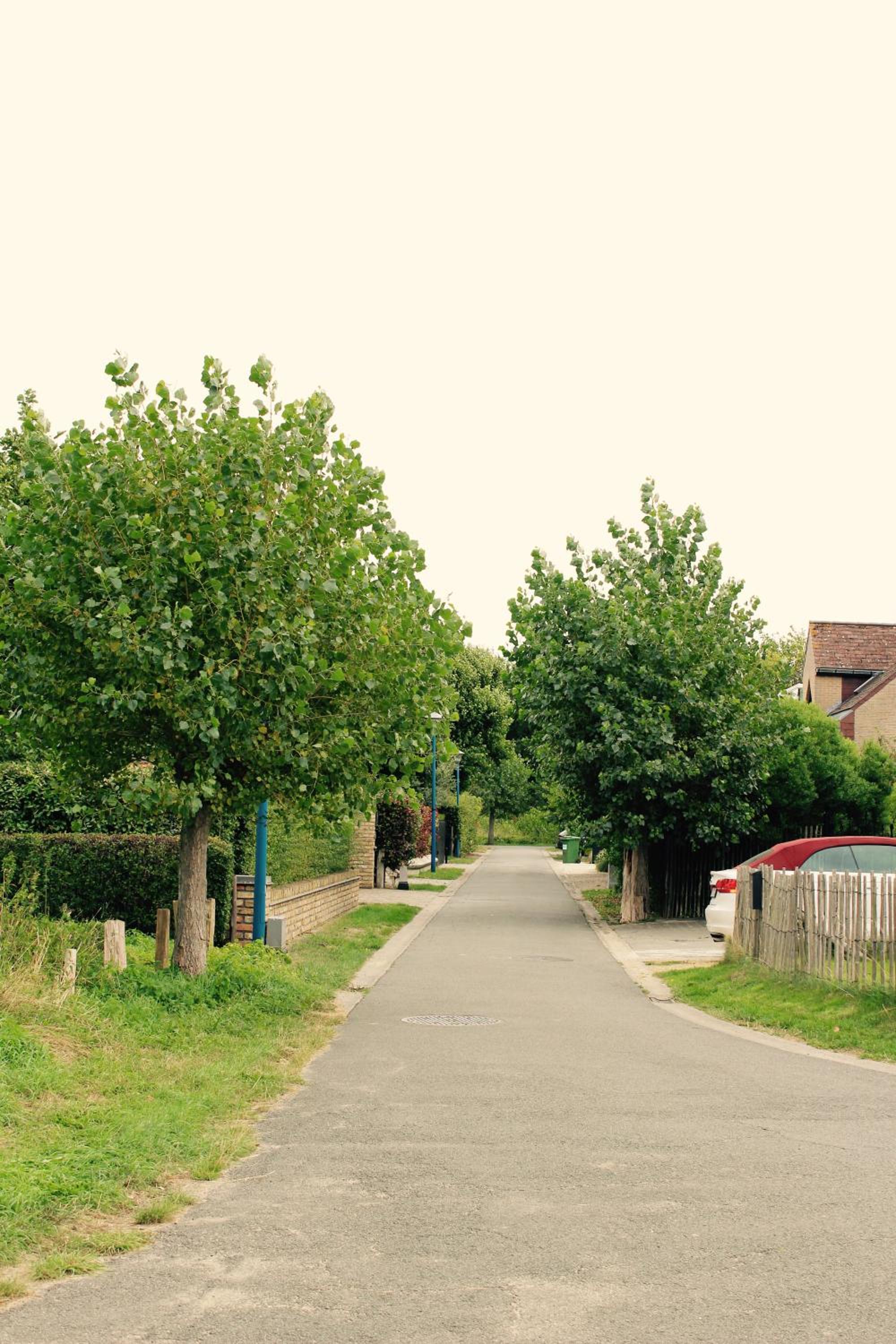 De Veldmuis, met mooie speelhoek en speelhuis