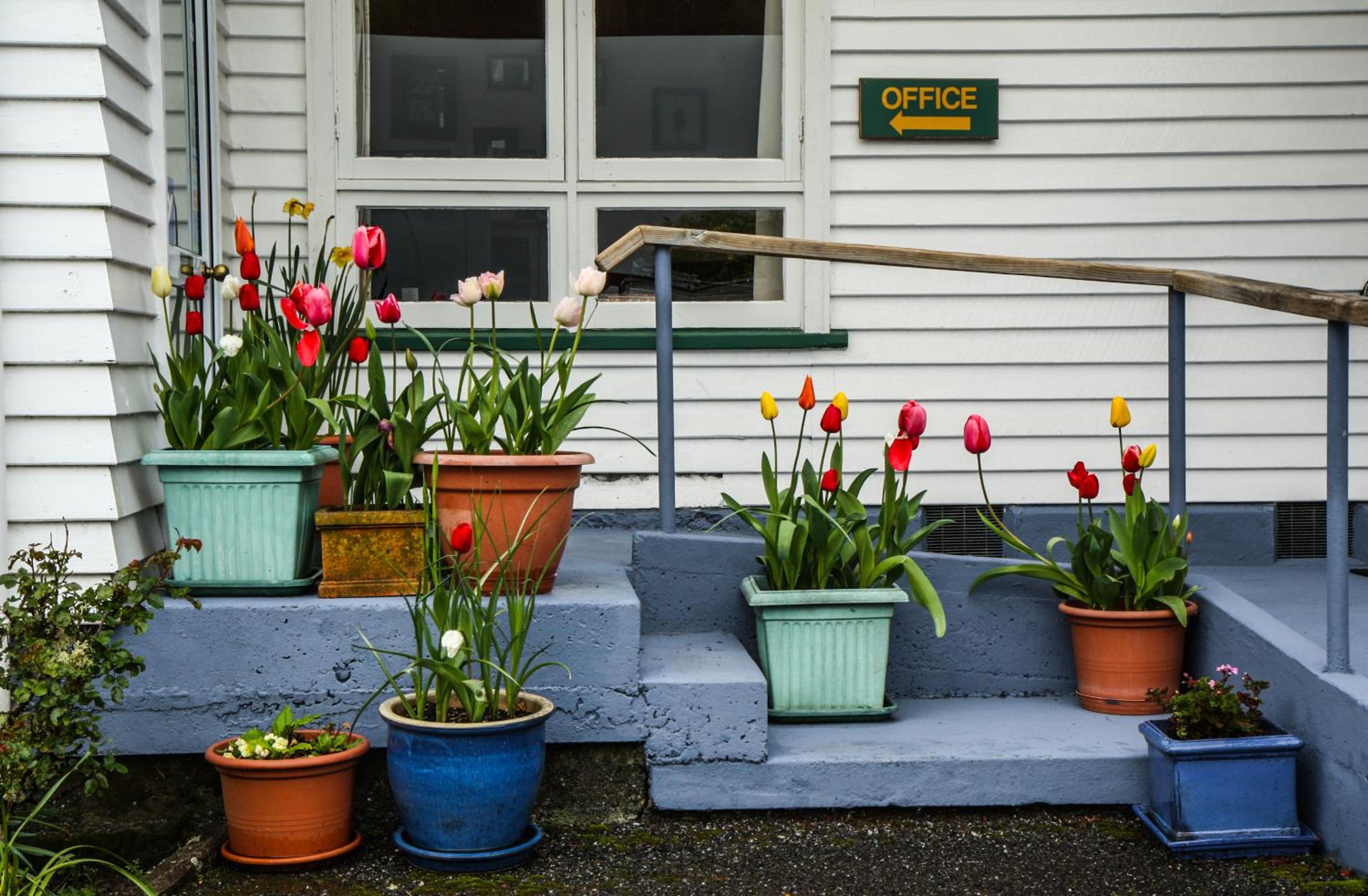Rainforest Motel