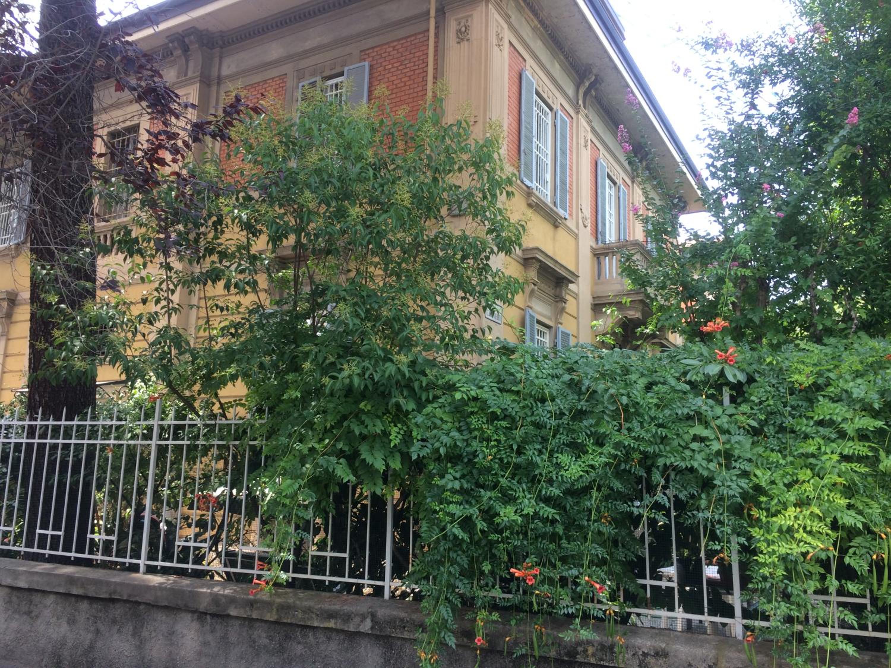 Golden House view 3