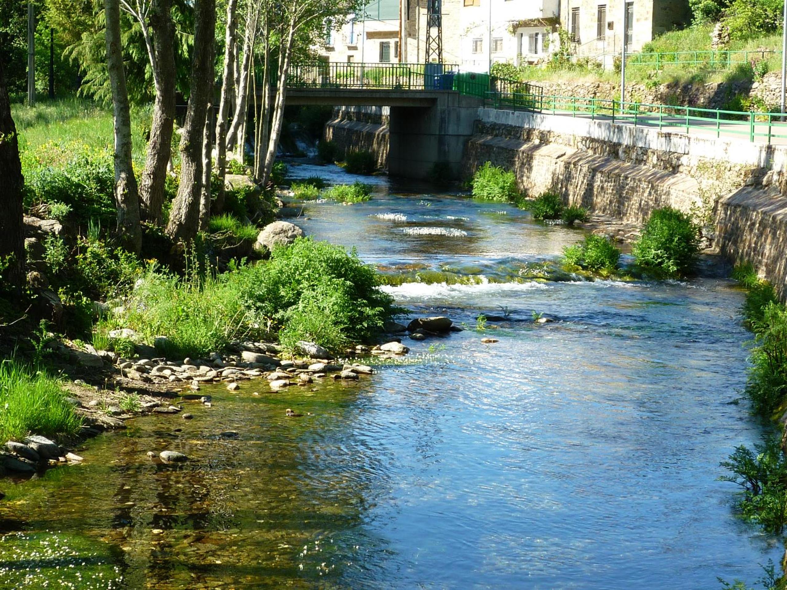Photo 29