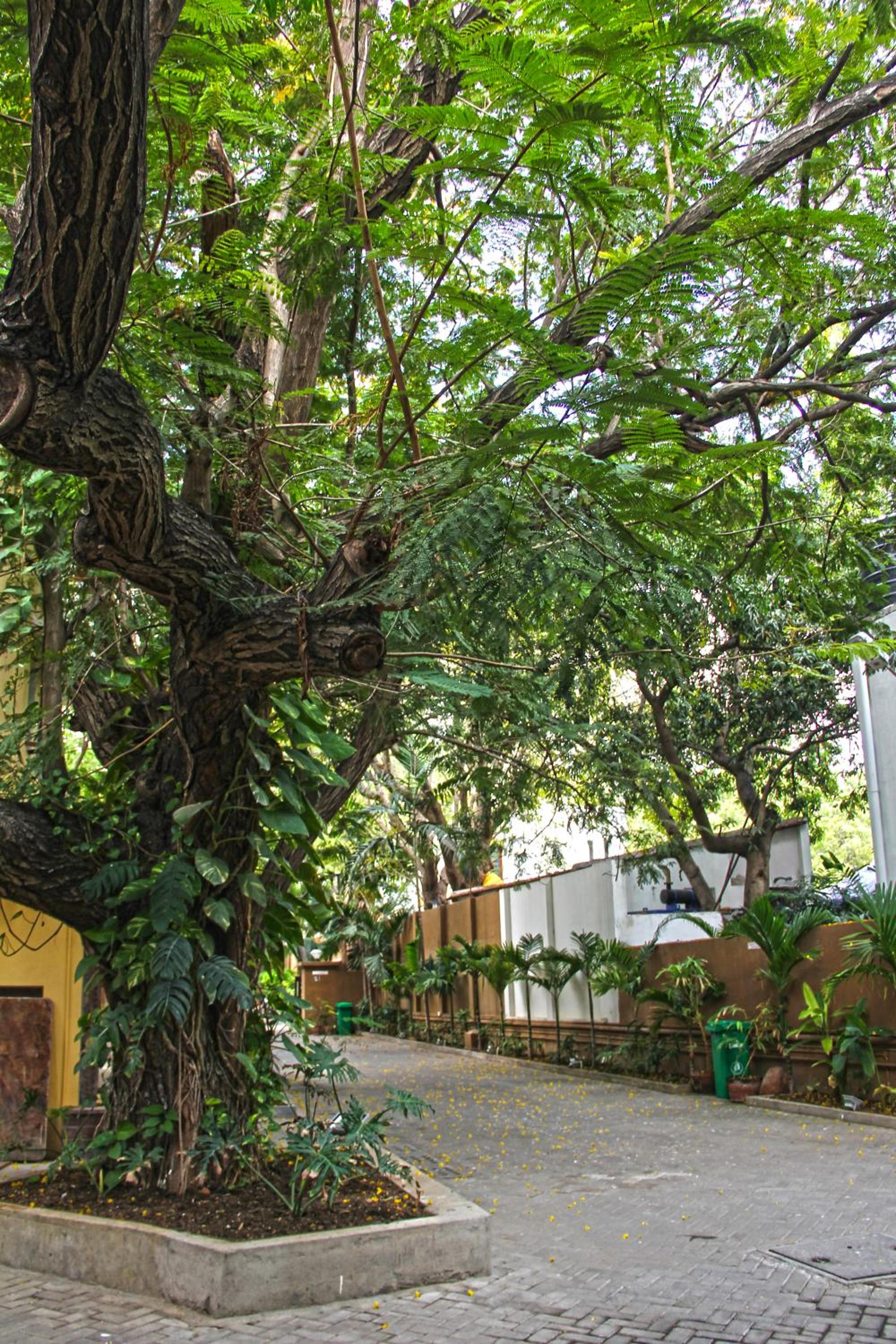 Hanu Reddy Residences, Poes Garden - Boutique Urban Retreat