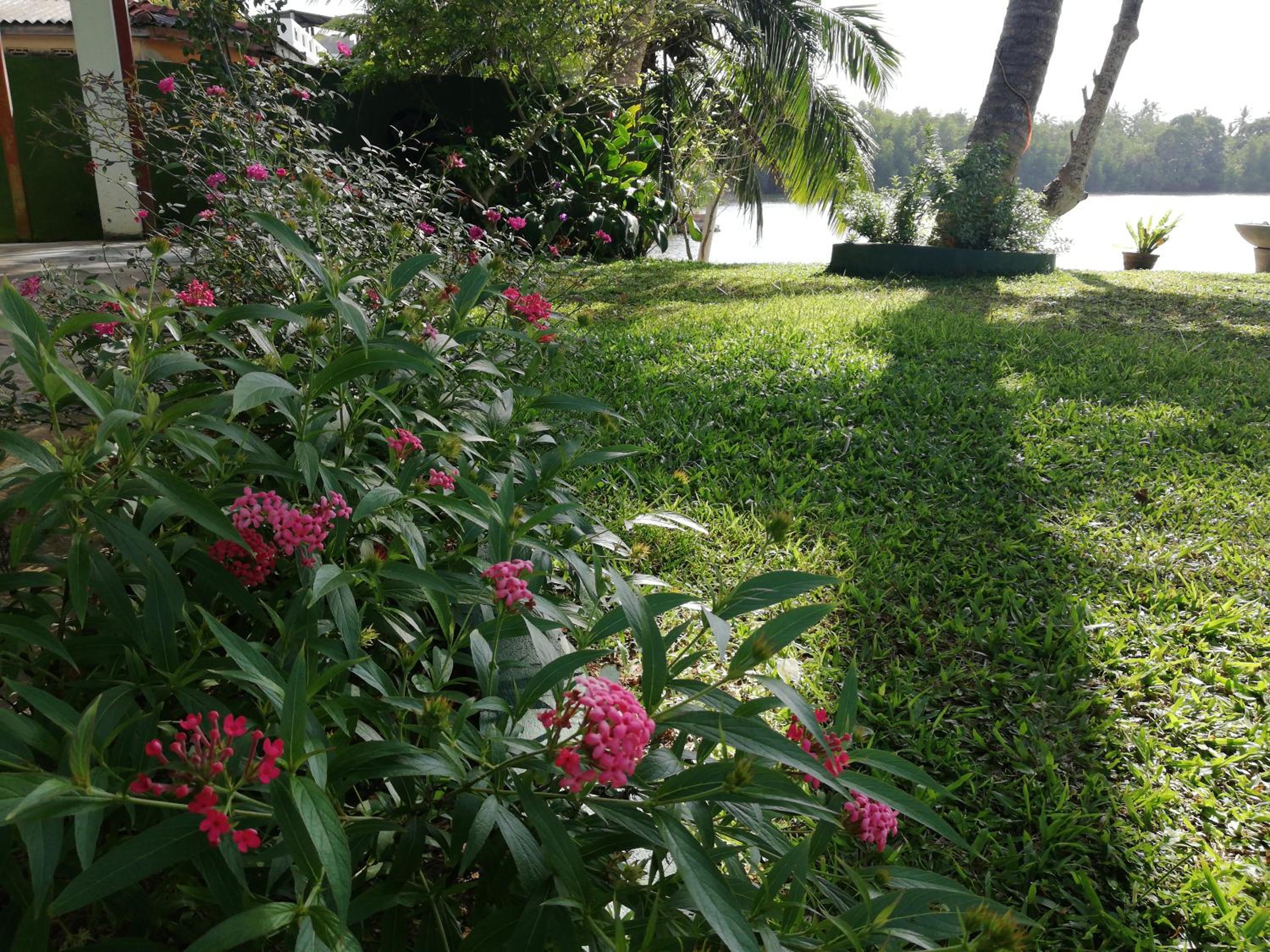 Mahi Villa