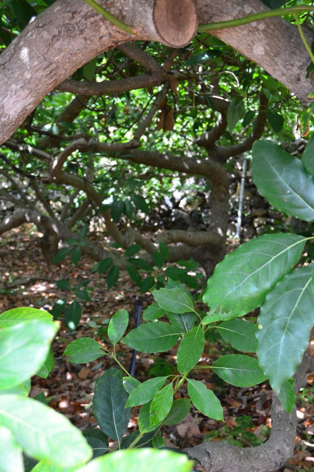 Photo 22