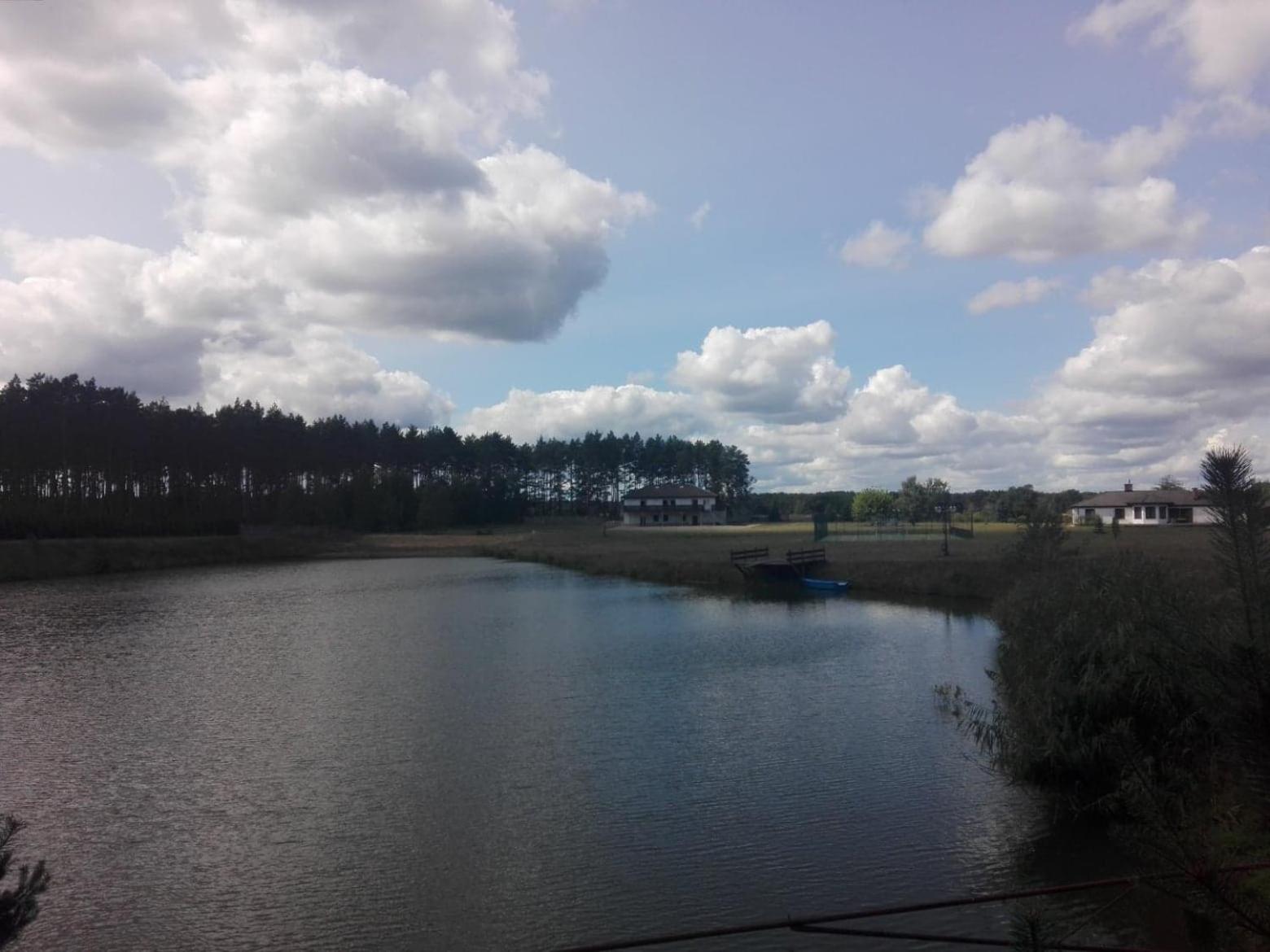 Photo 46