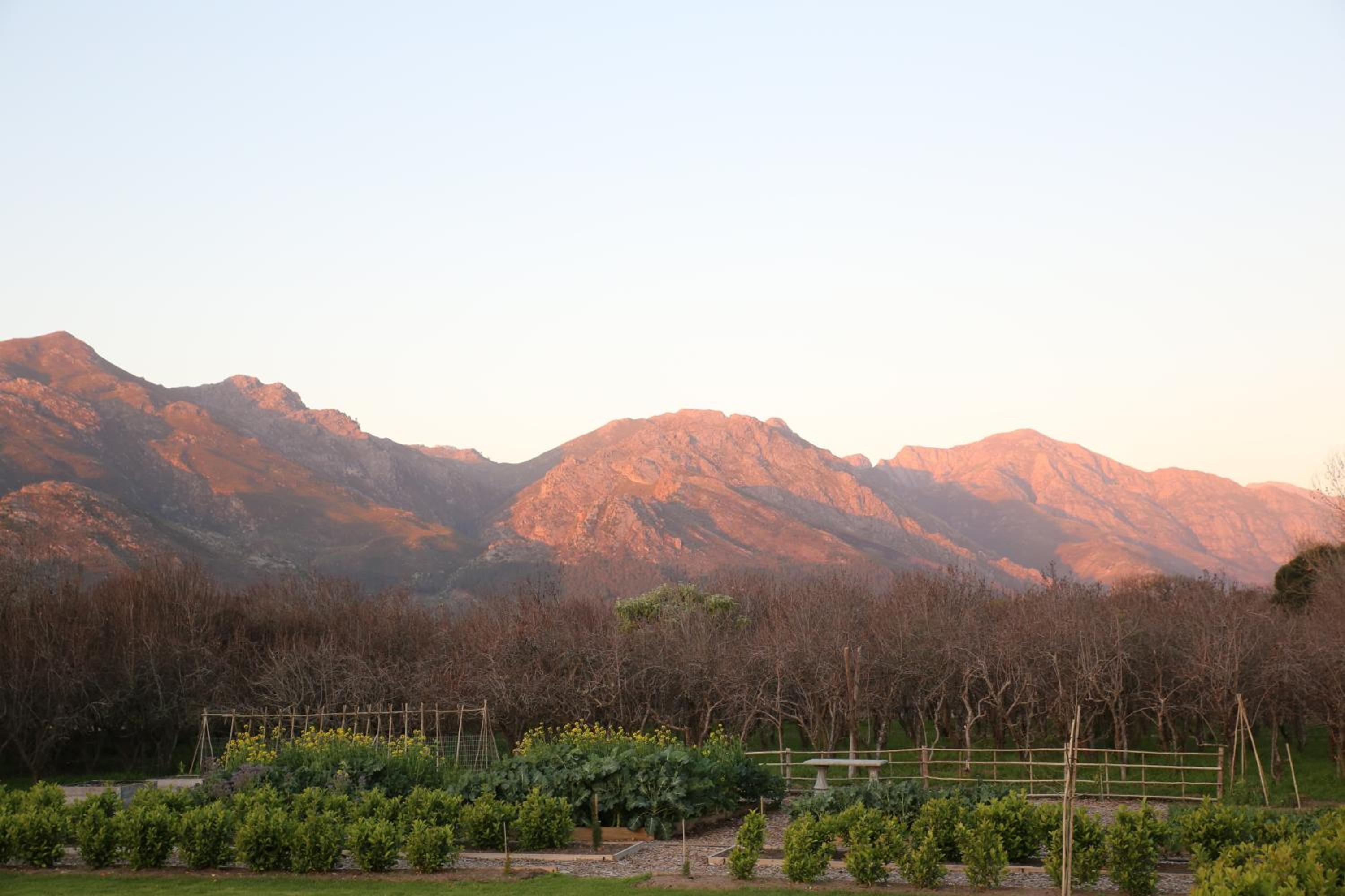 La Chataigne Wines & Guest Cottages