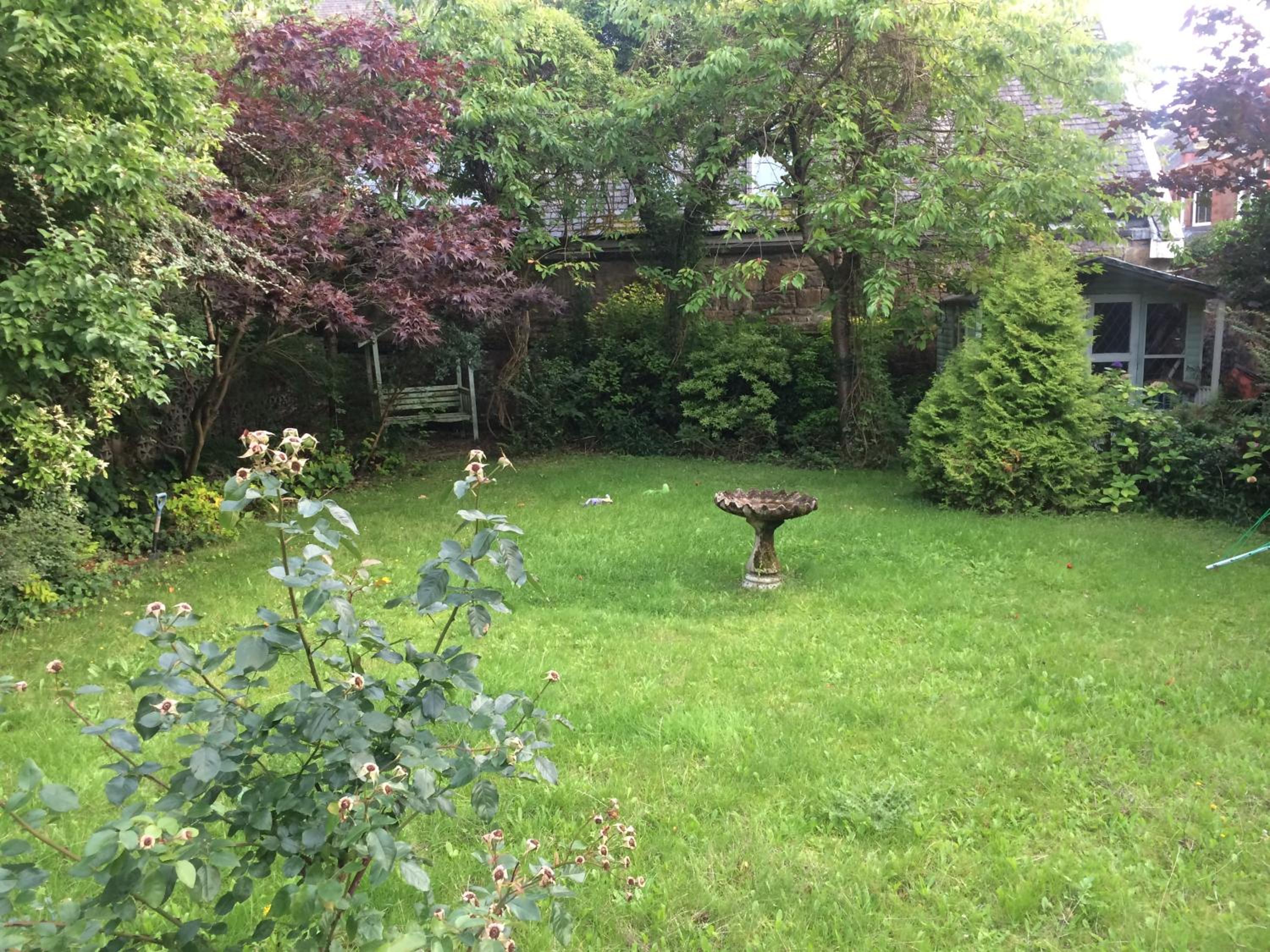 Photo 21