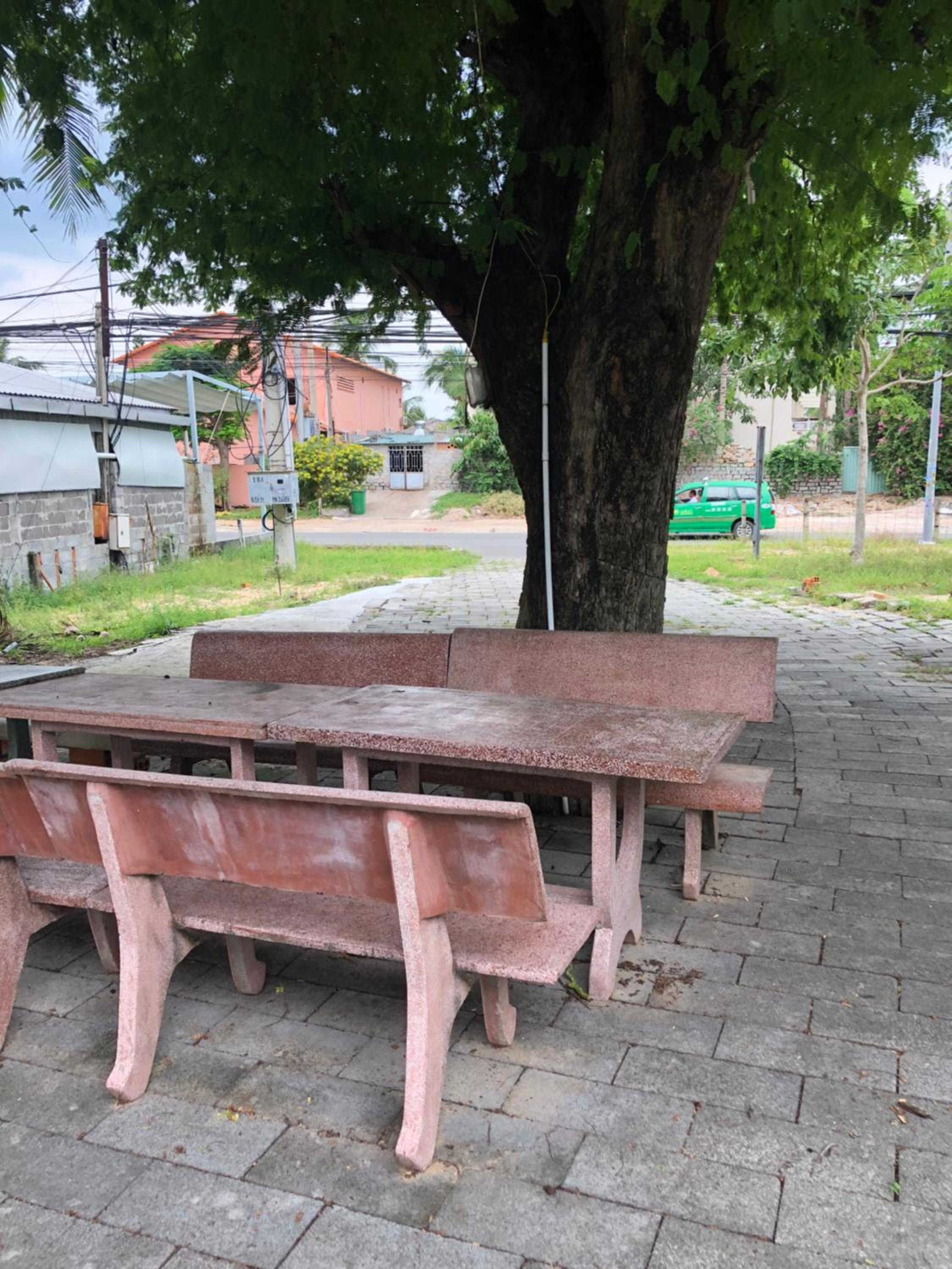 Photo 16
