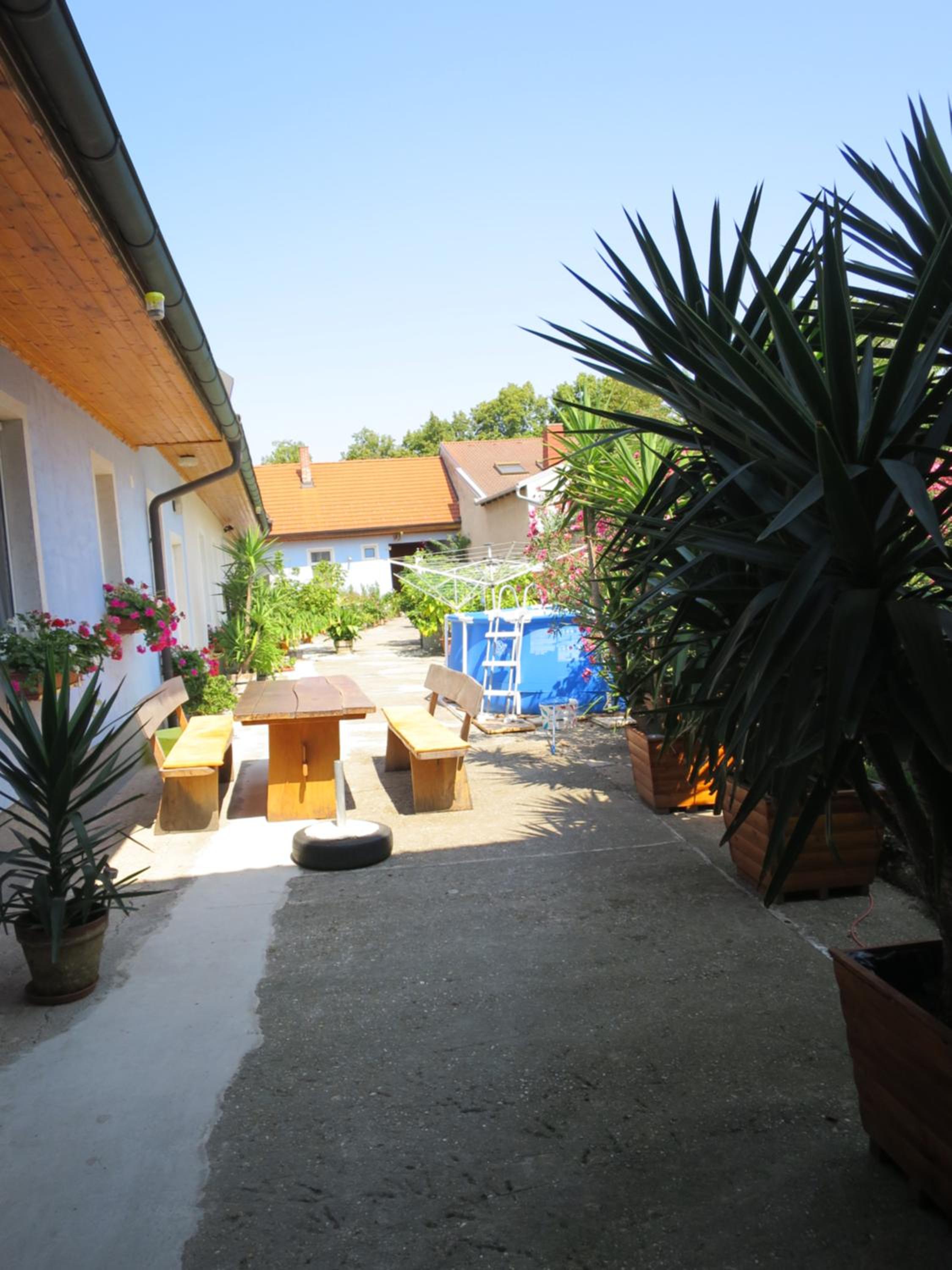 Photo 49