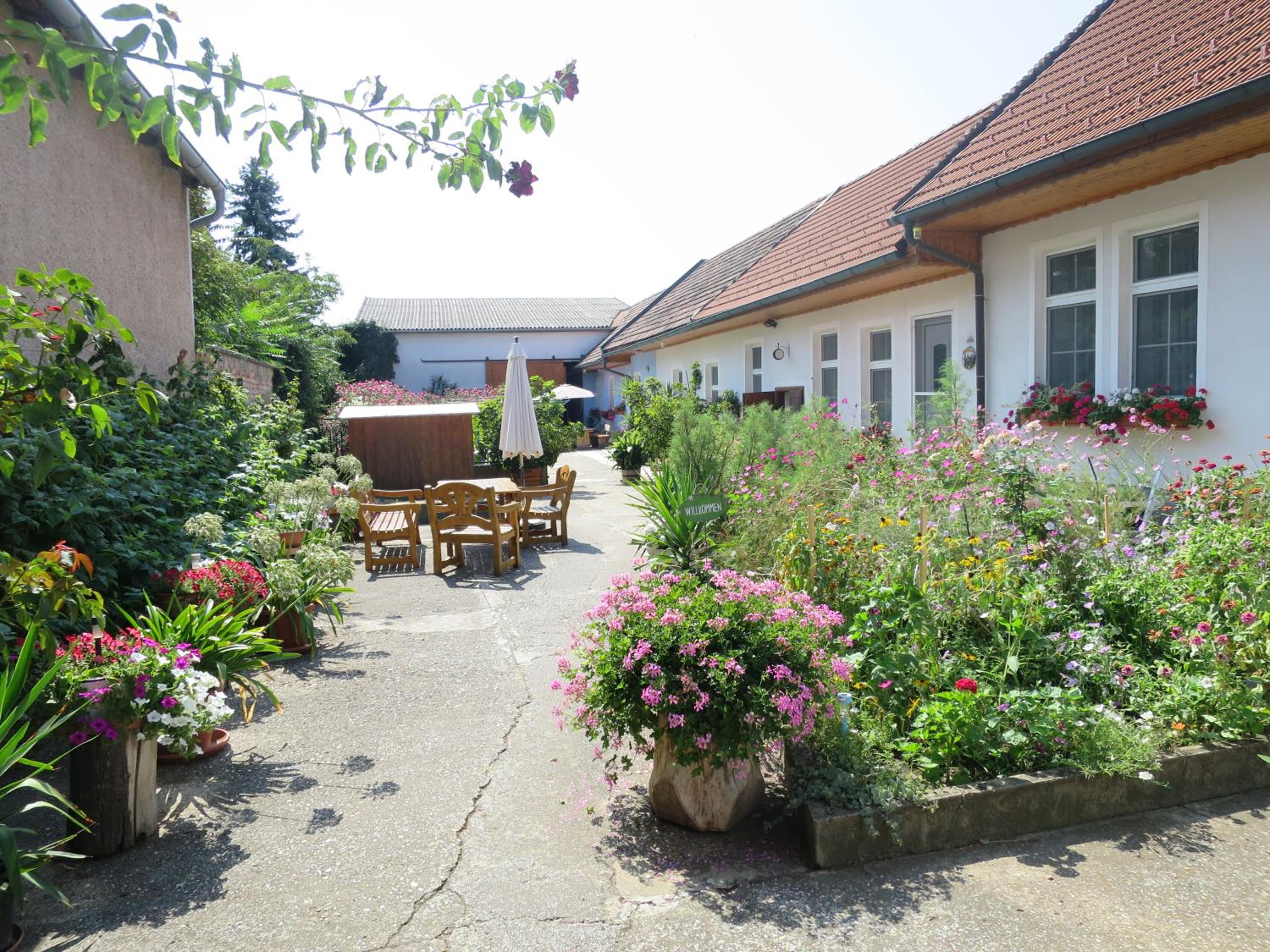 Ferienwohnungen Sattler view 5