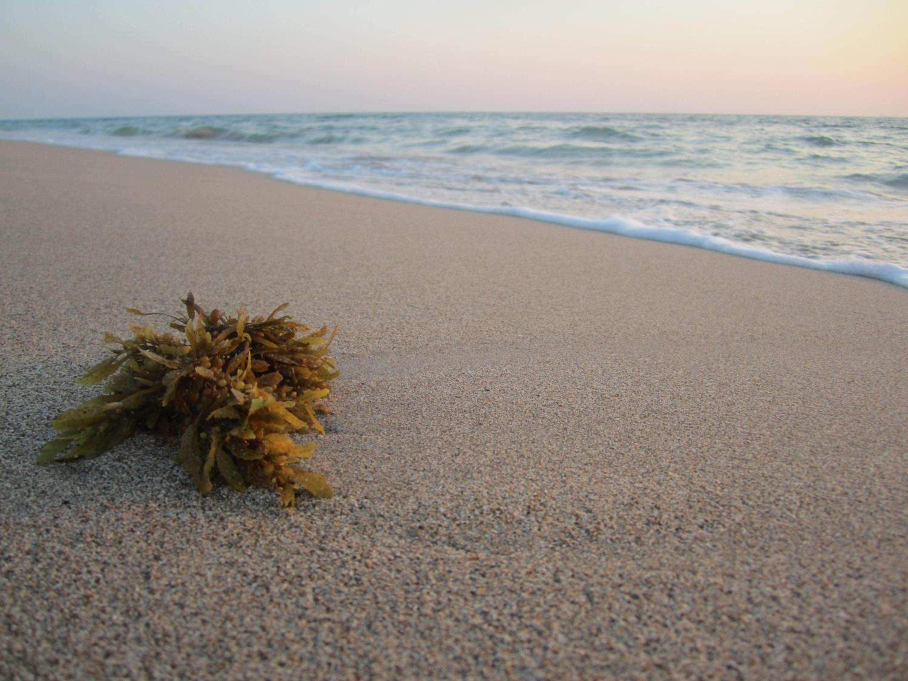 Lanta IL Mare Beach Resort, Ko Lanta - 21
