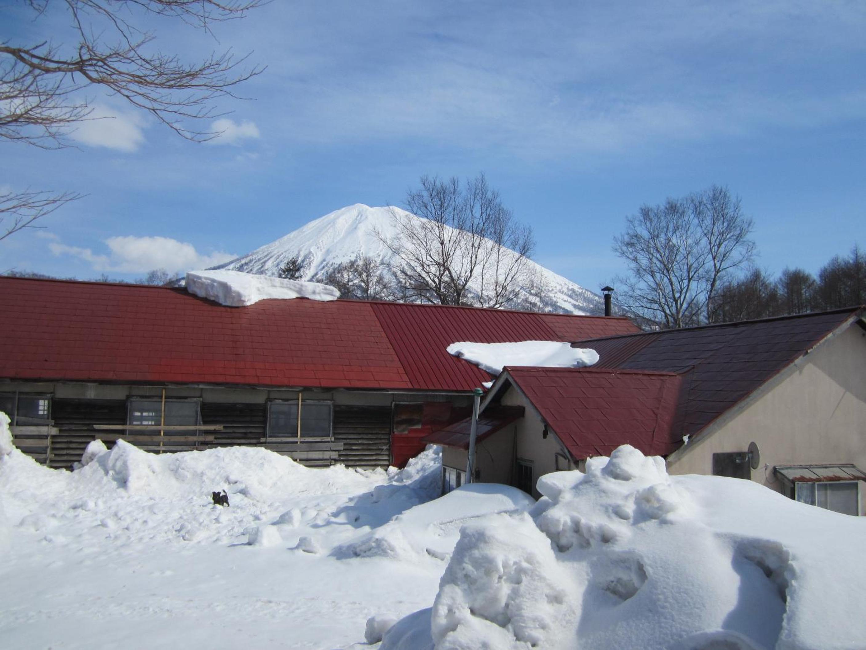 Photo 25