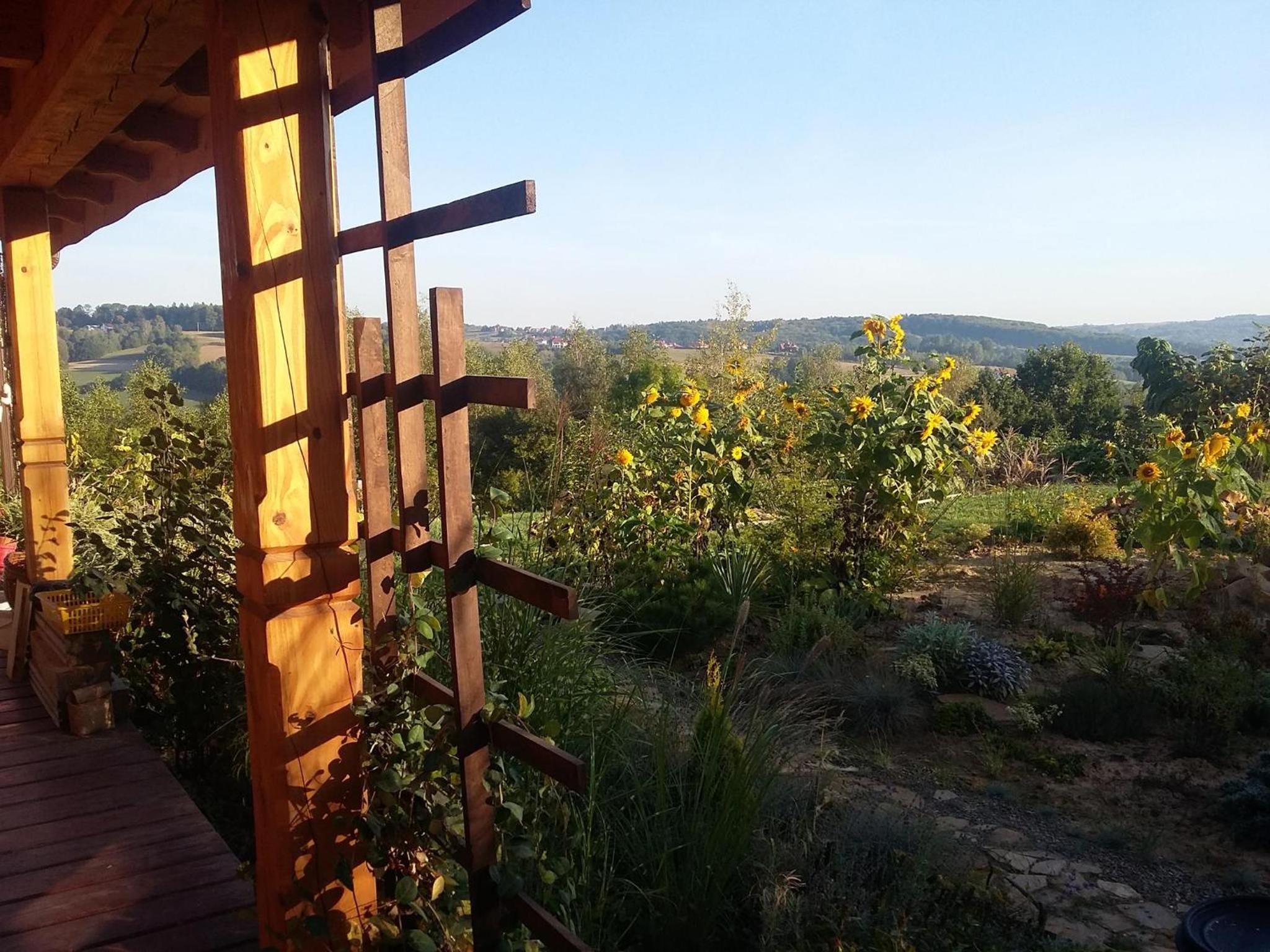 Wrotyczowe Pola view 4