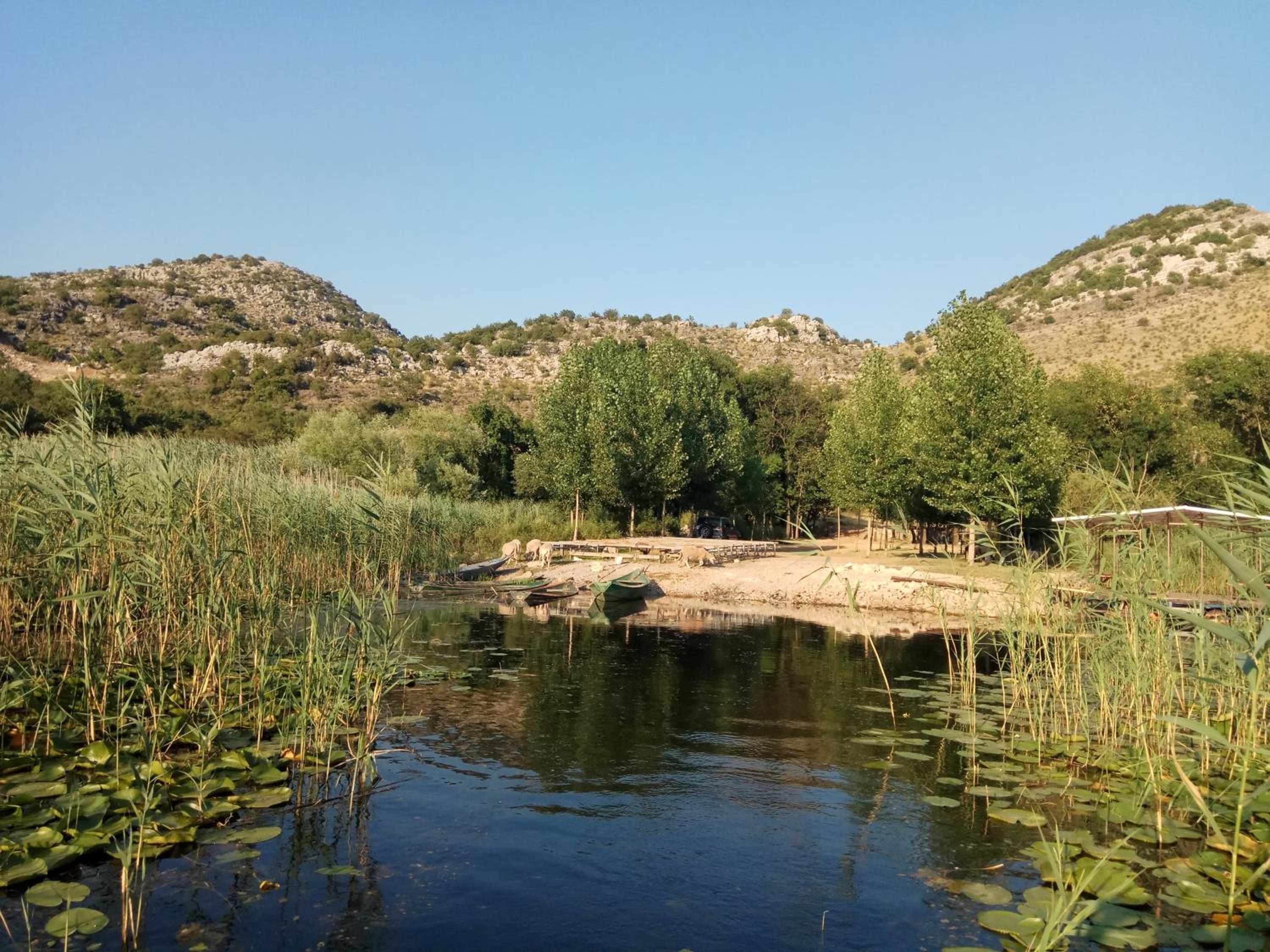 Photo 23
