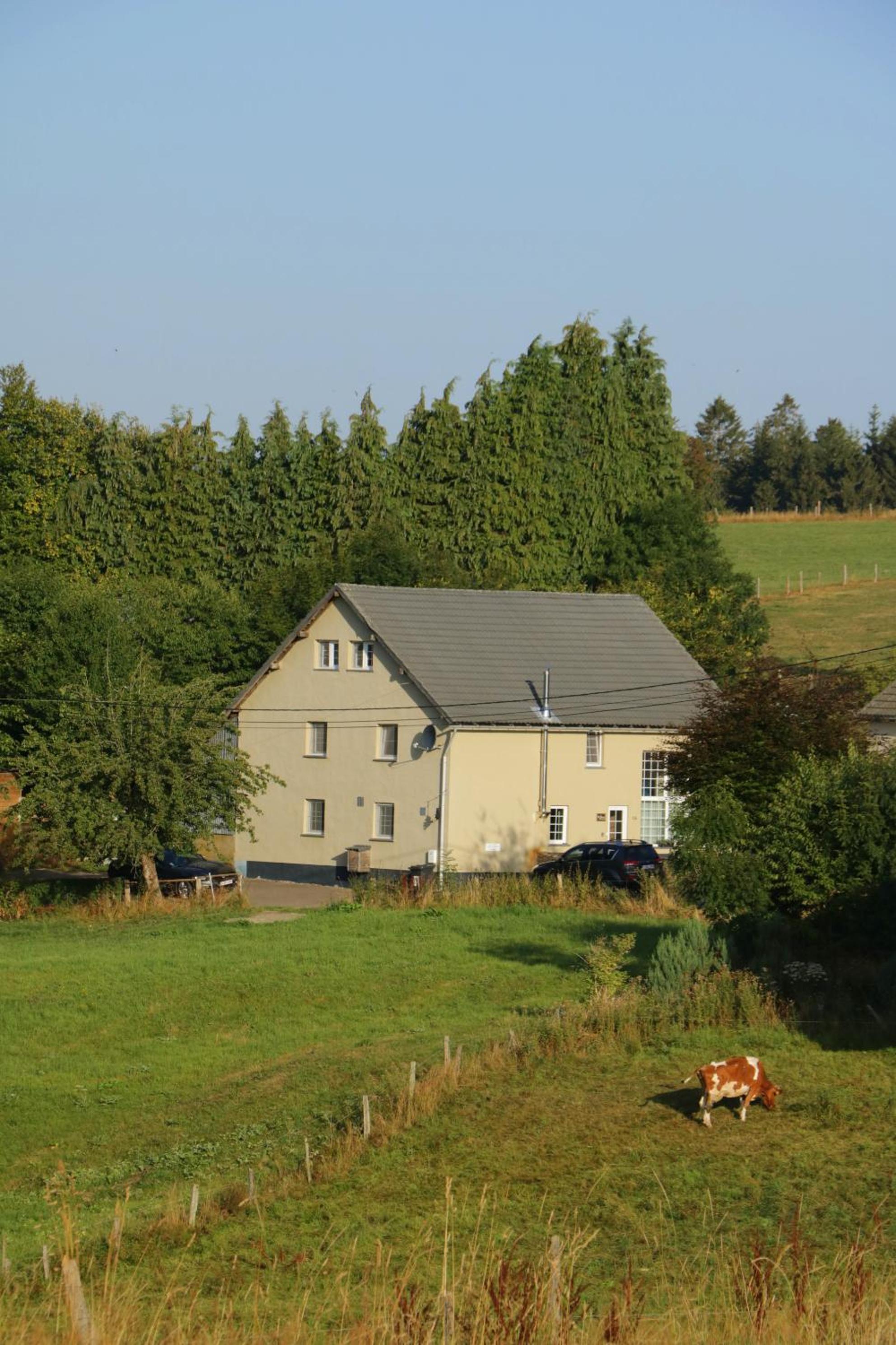 Vakantiehuis De Lounge