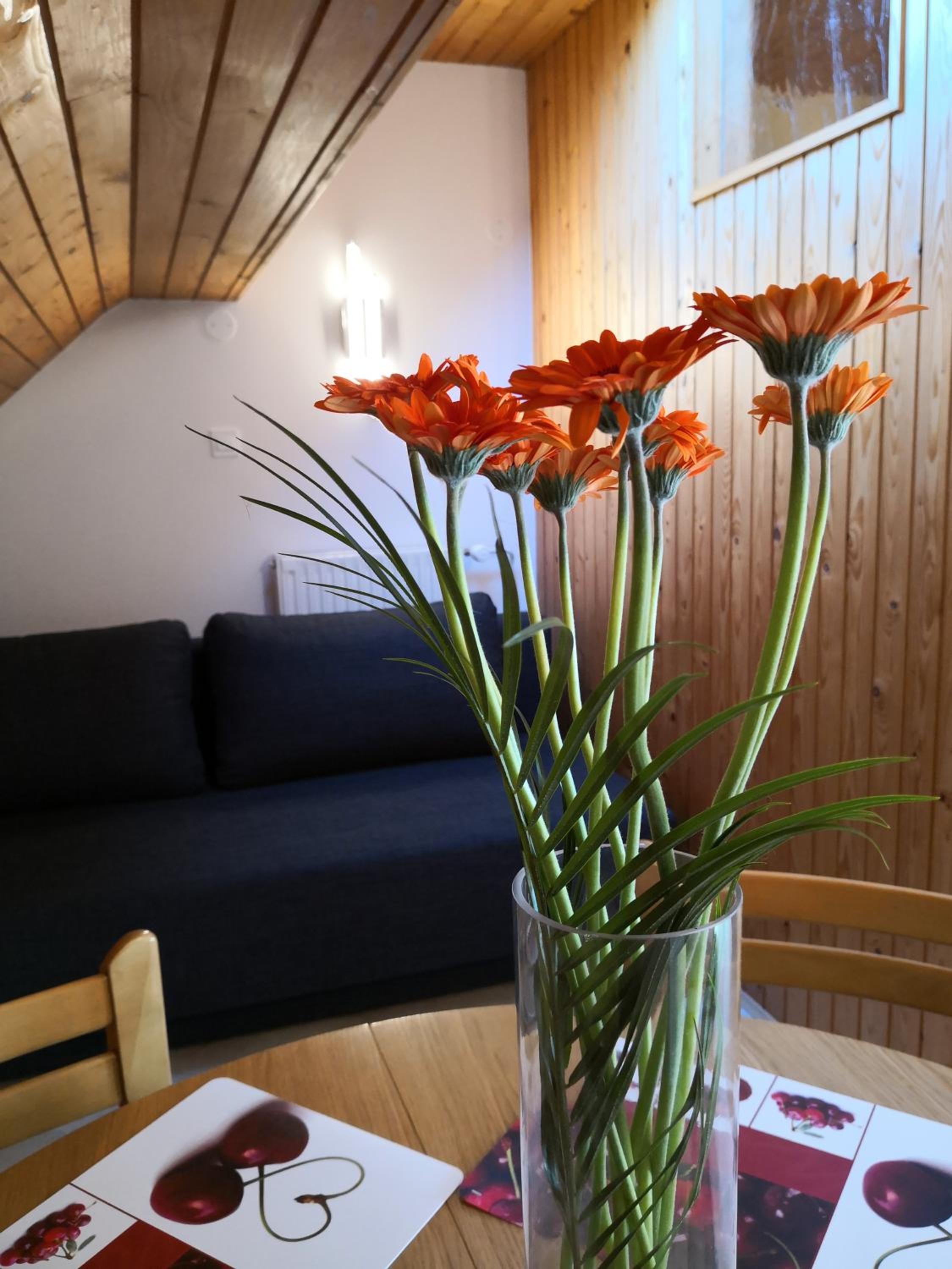 Apartments Silič view 3