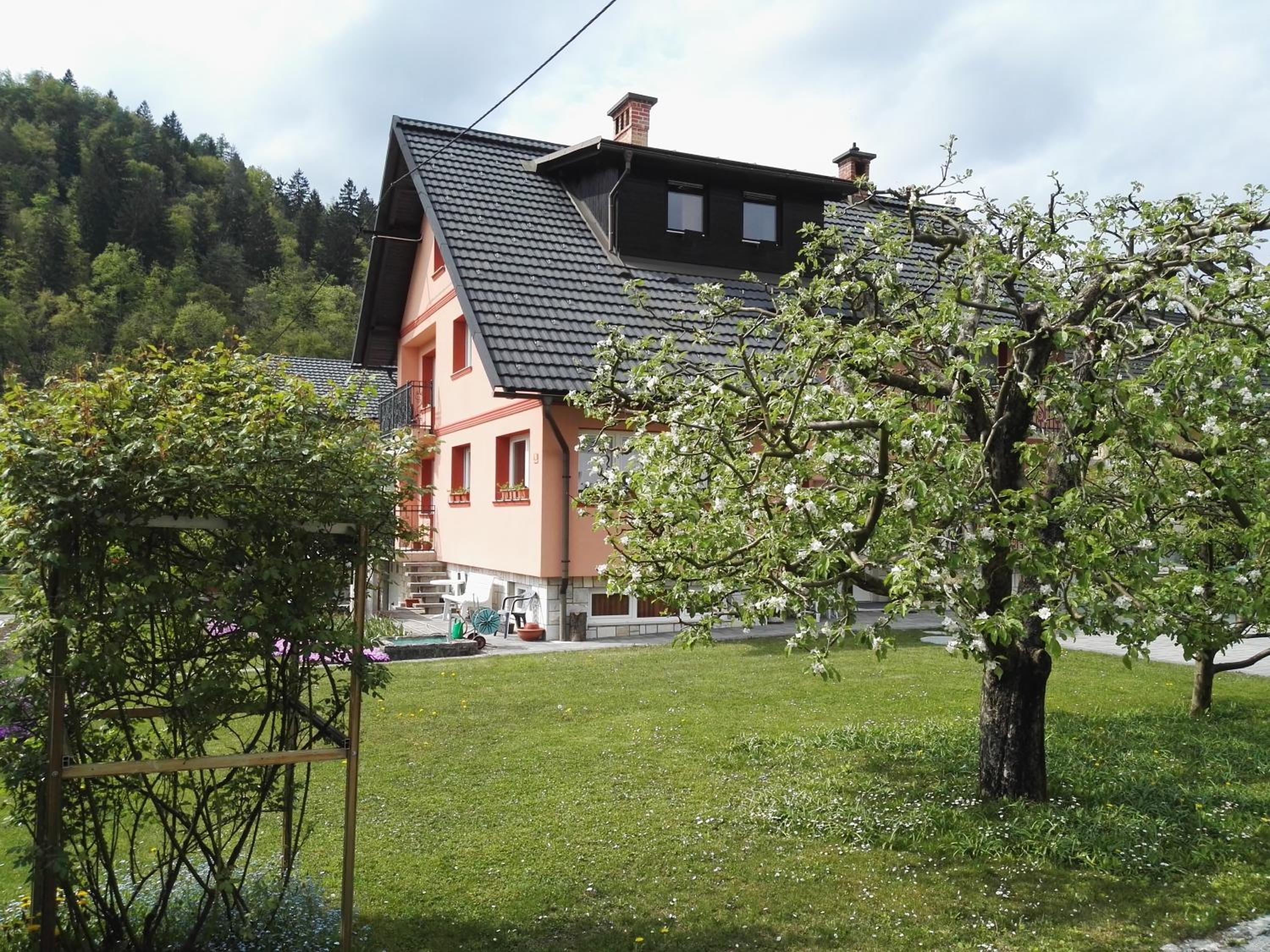 Photo 23