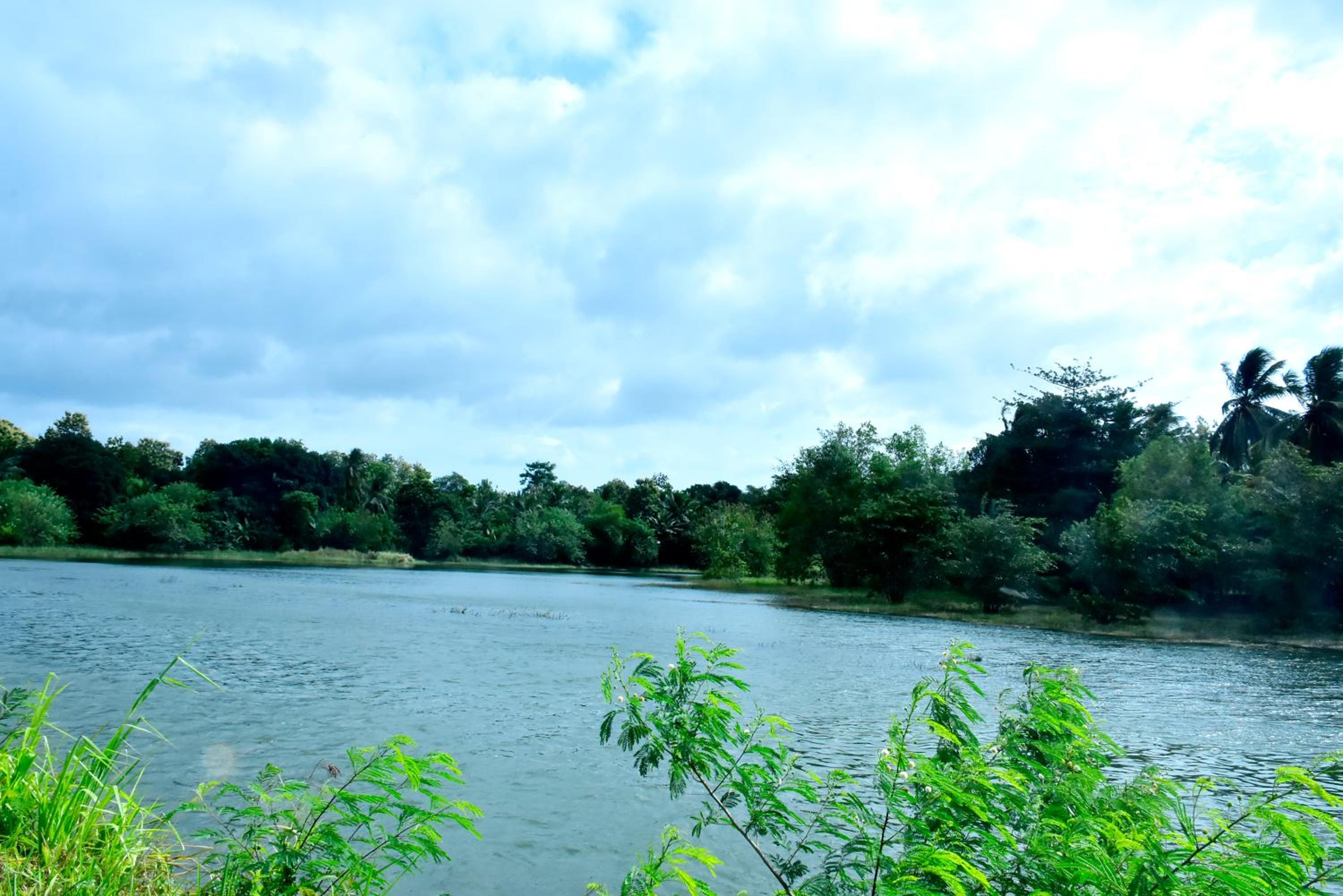 Canal Side Safari Resort view 3