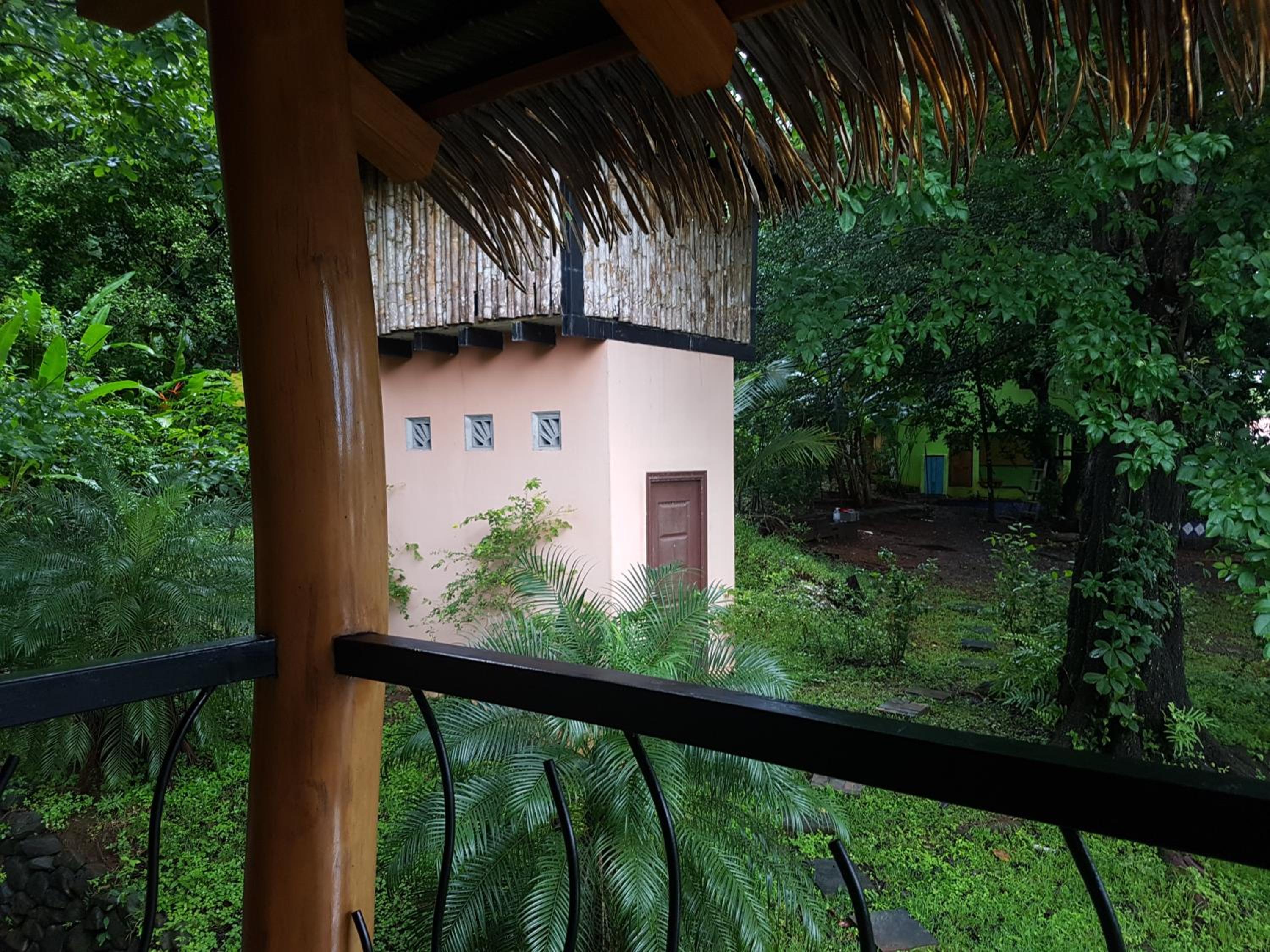 Photo 6