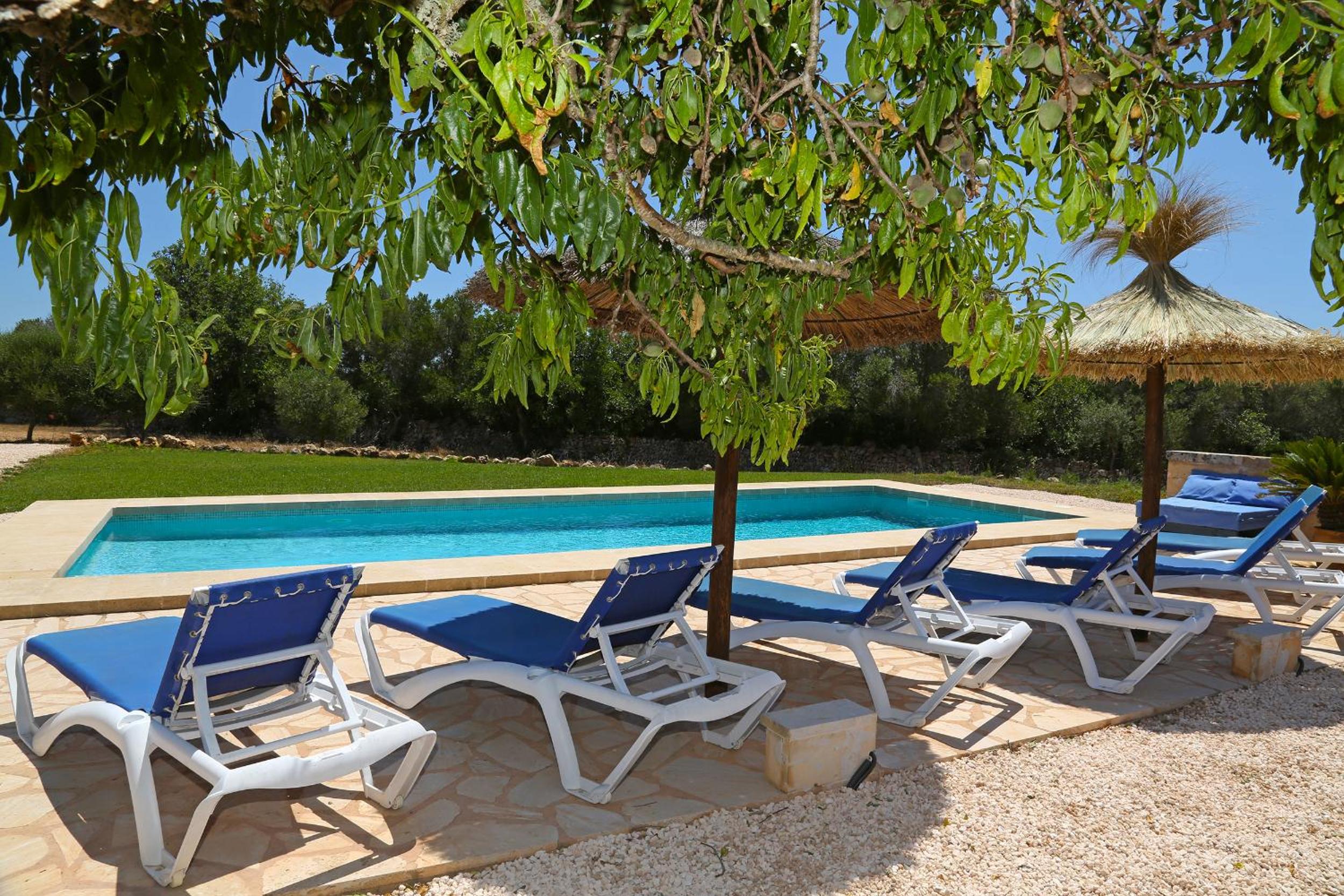 Finca Tiana view 2