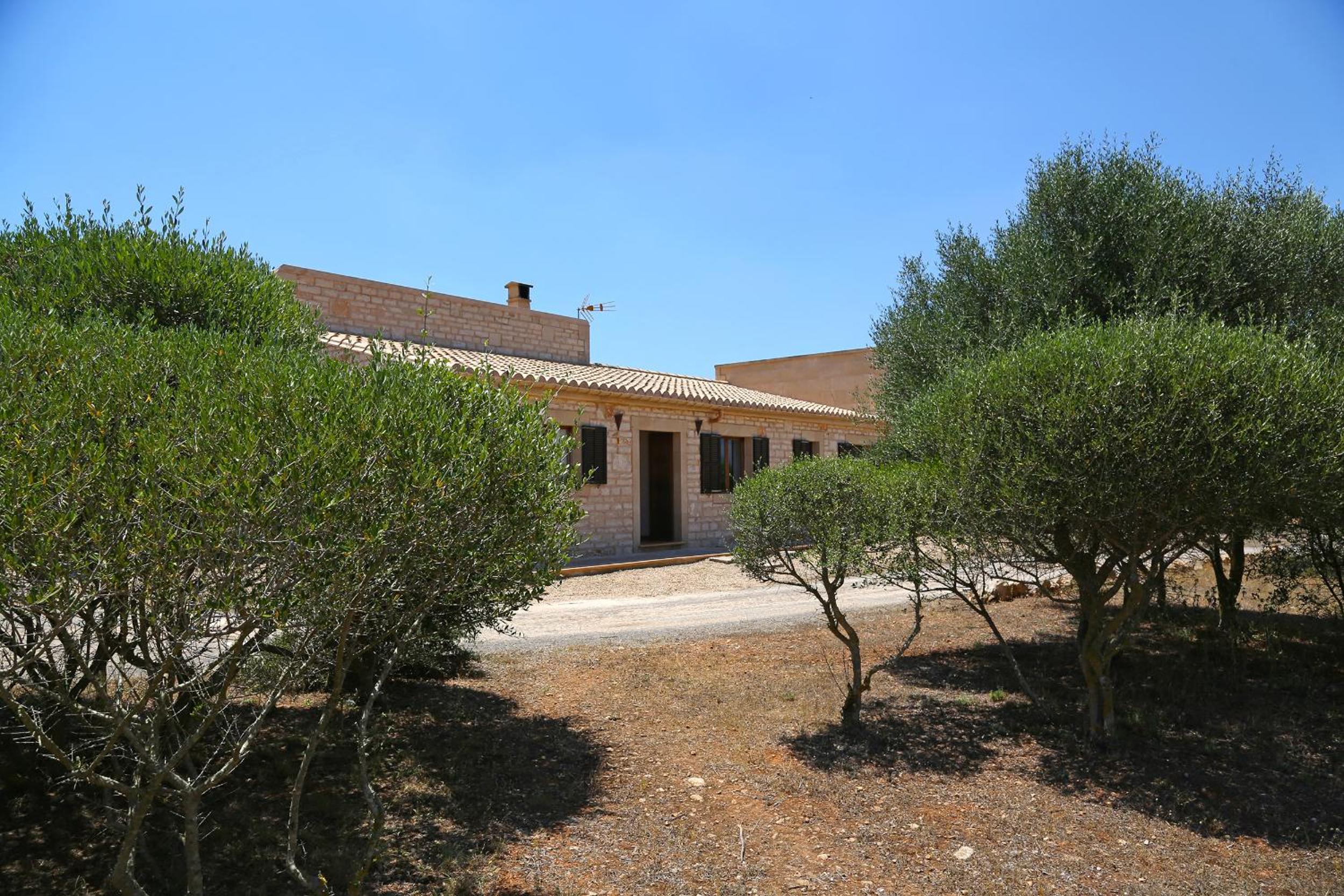 Photo 17