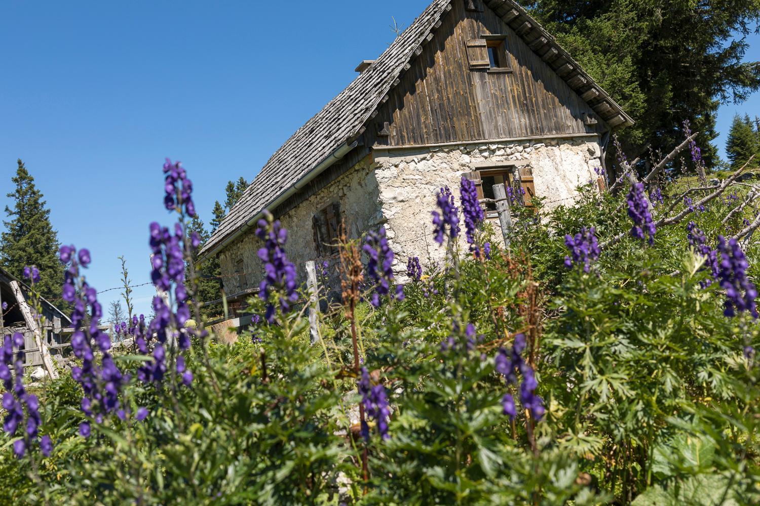 Ferienhaus Mendlingbauer