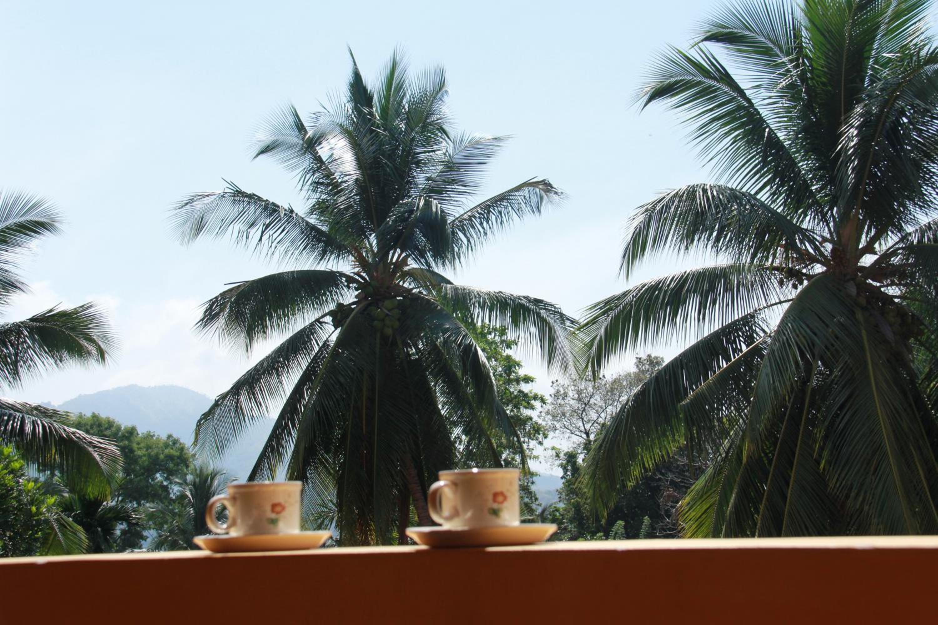 Anura Guest Inn