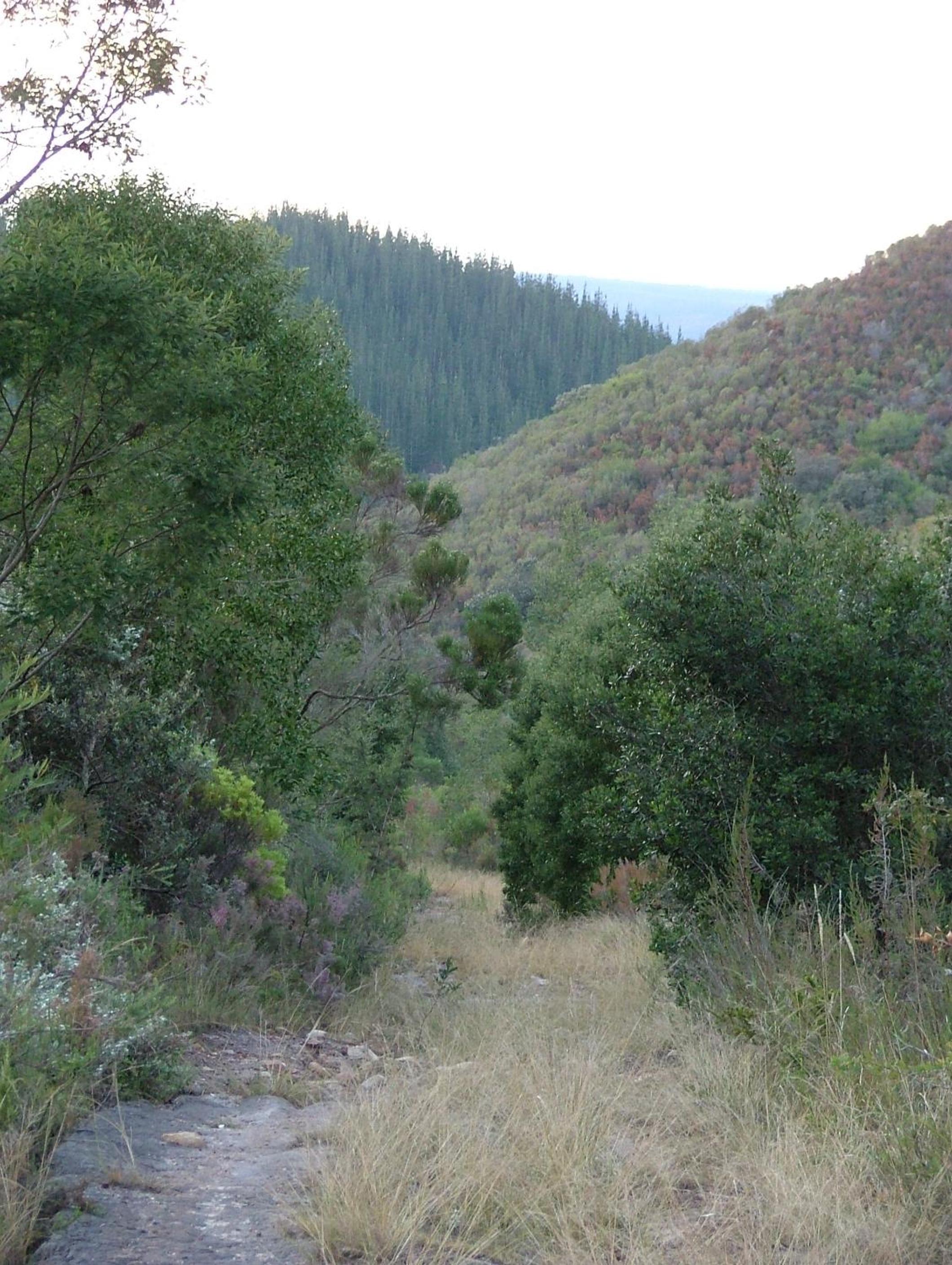 Photo 45