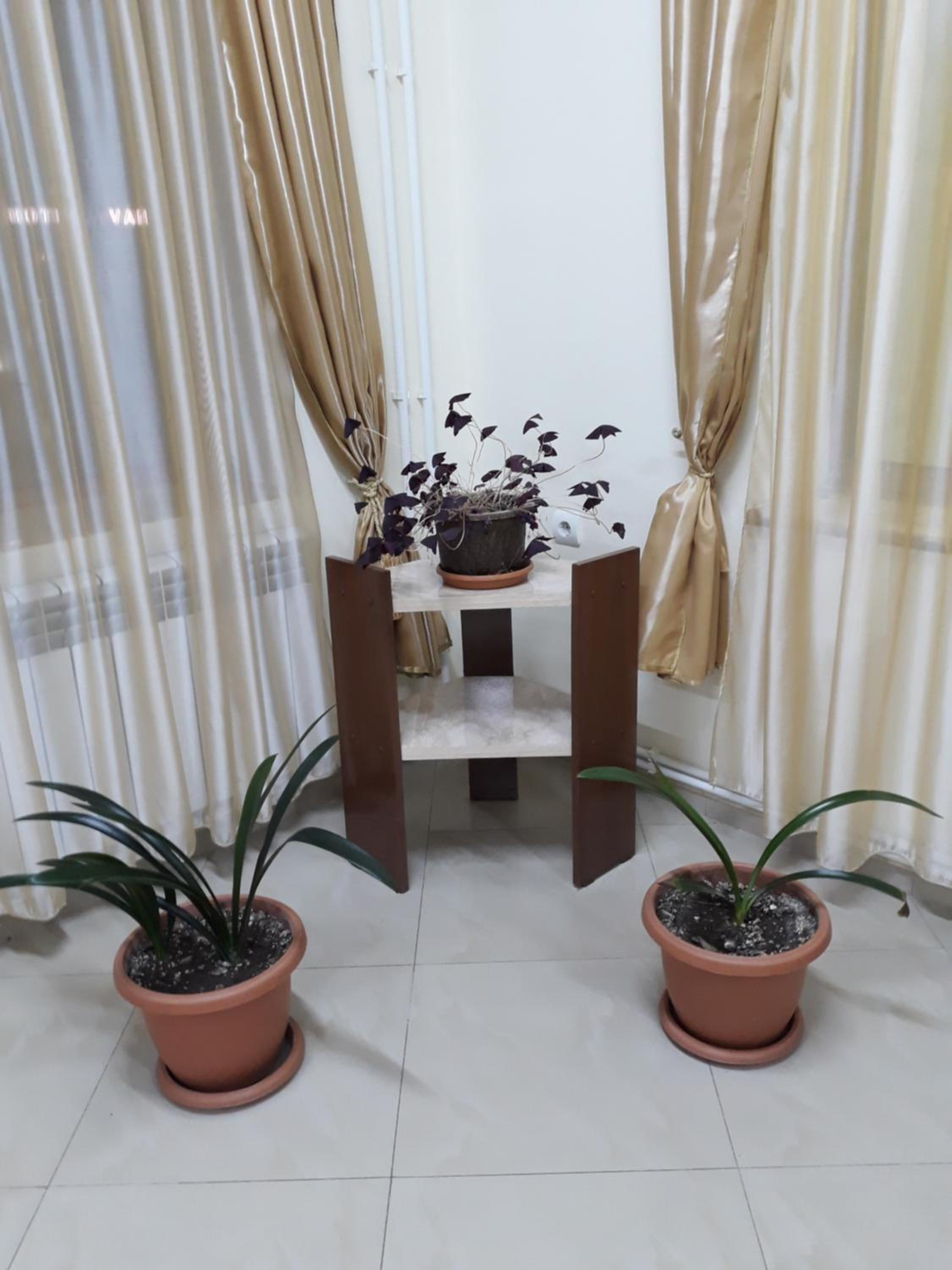 Hotel Noy