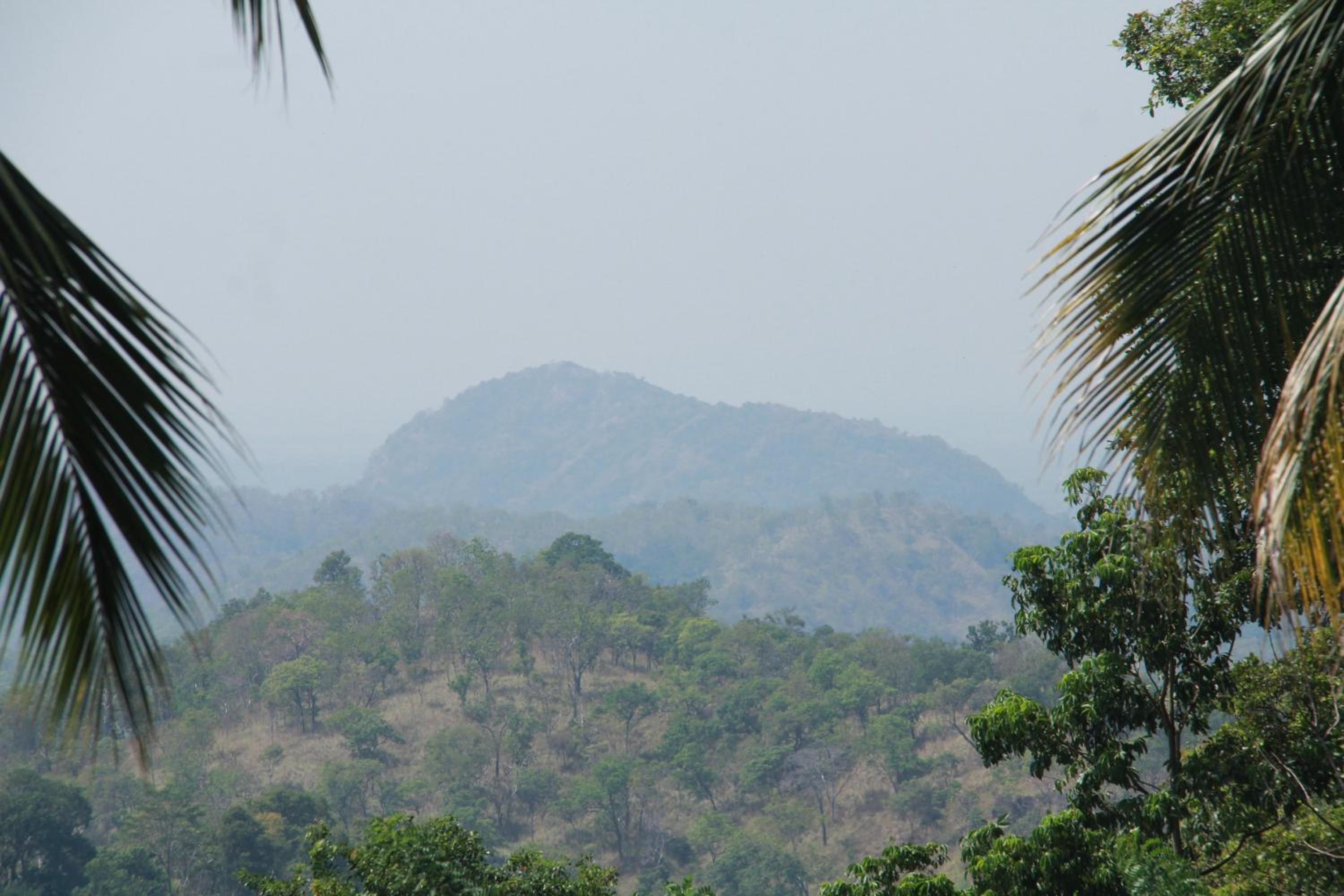 Anura Guest Inn
