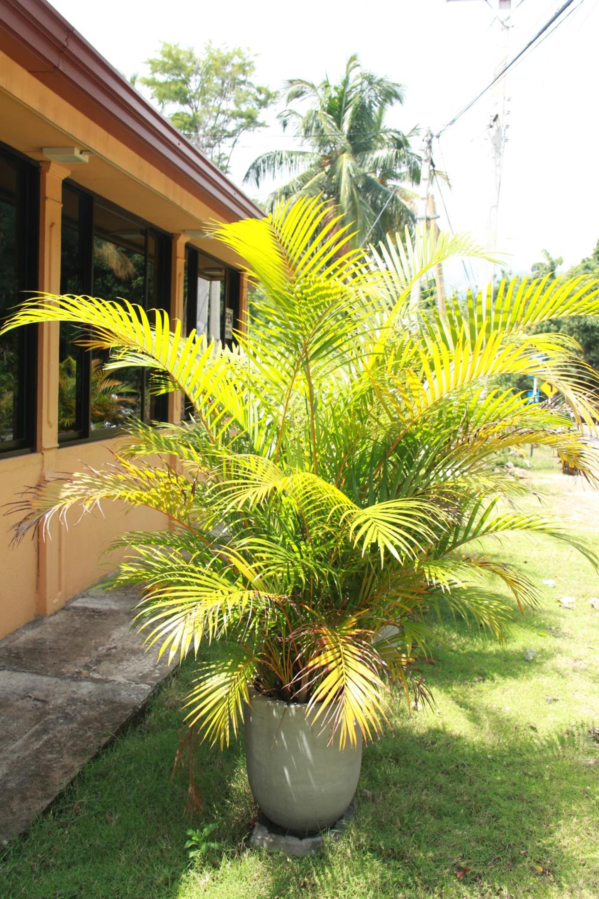 Anura Guest Inn