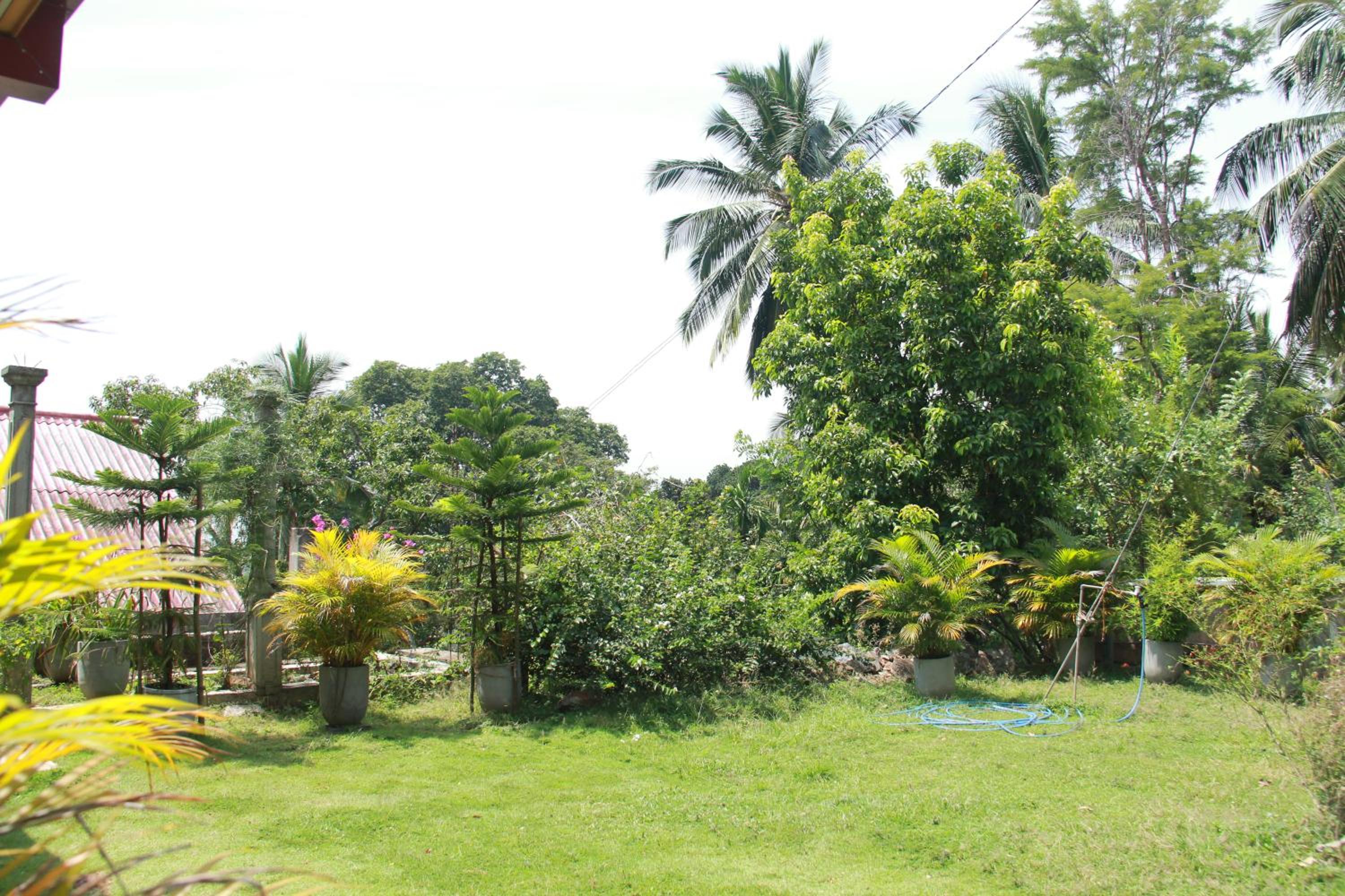 Anura Guest Inn