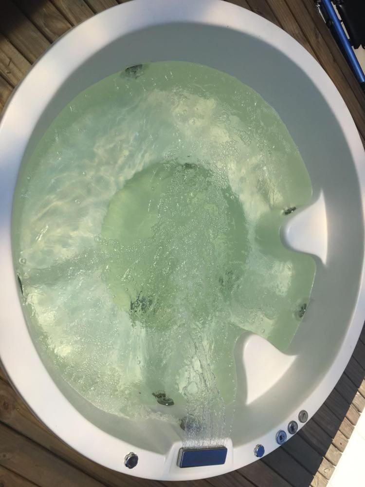 Bromélia Blue