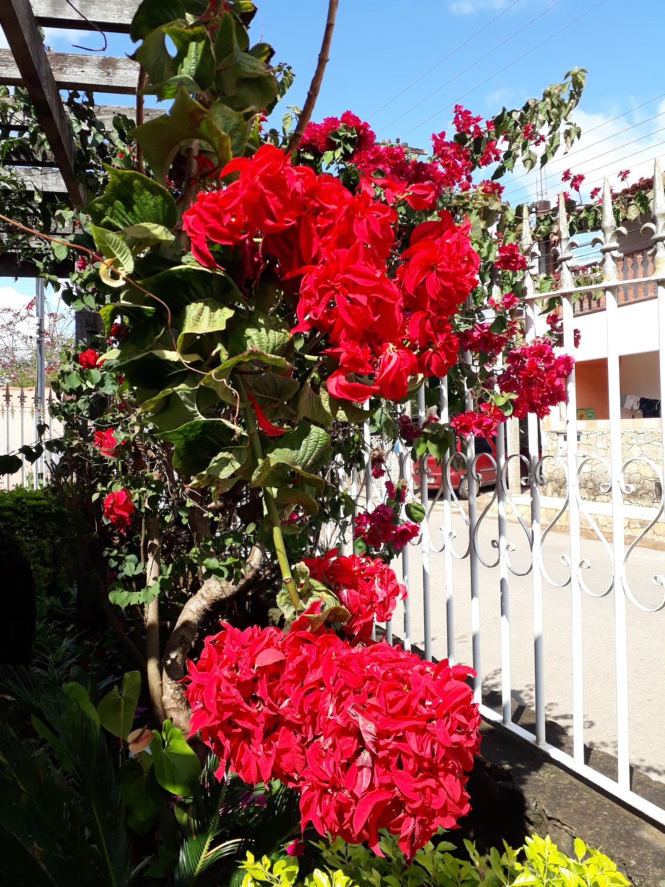 Pouso Mariazinha