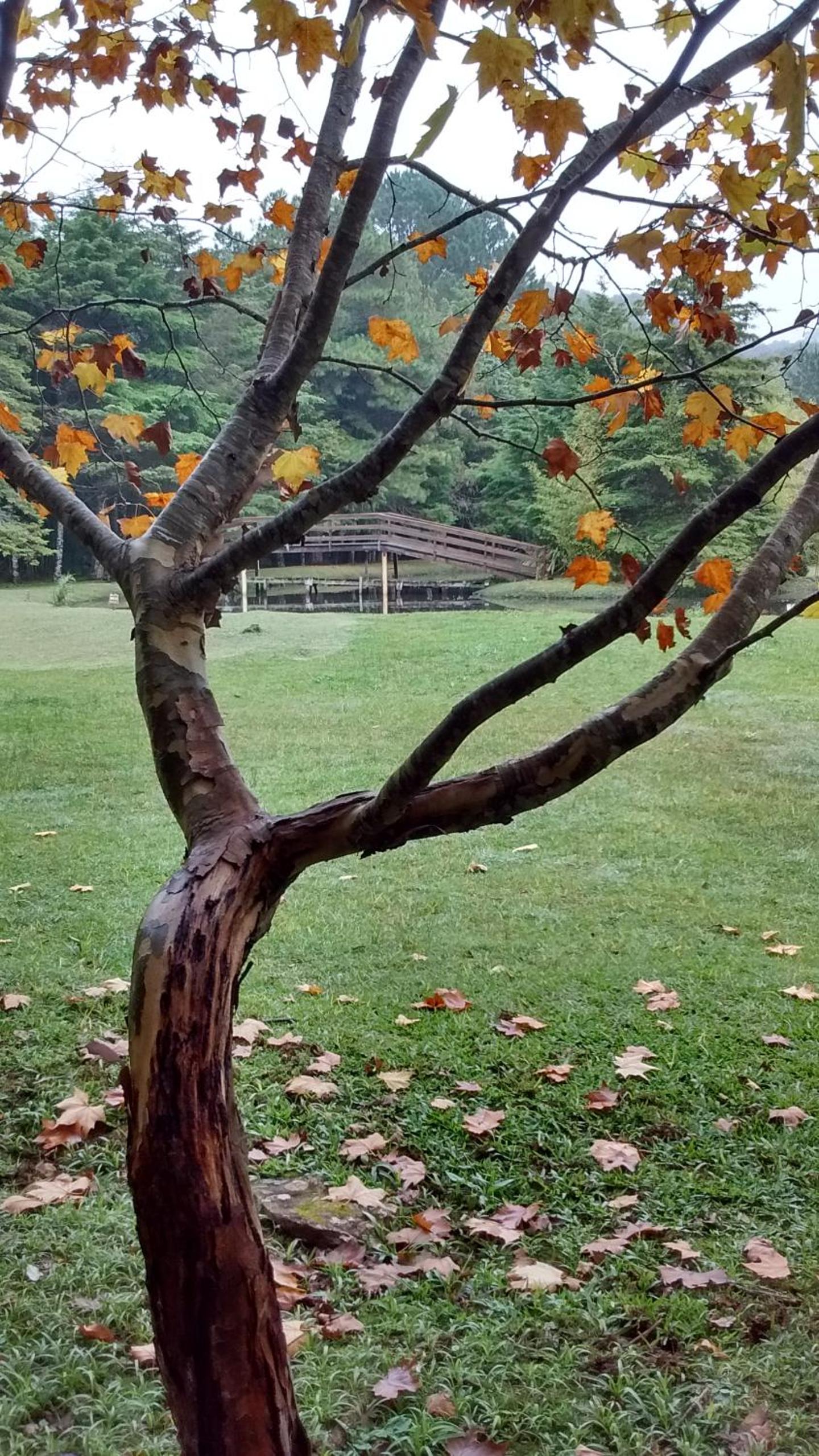 Recanto na Montanha de Gramado