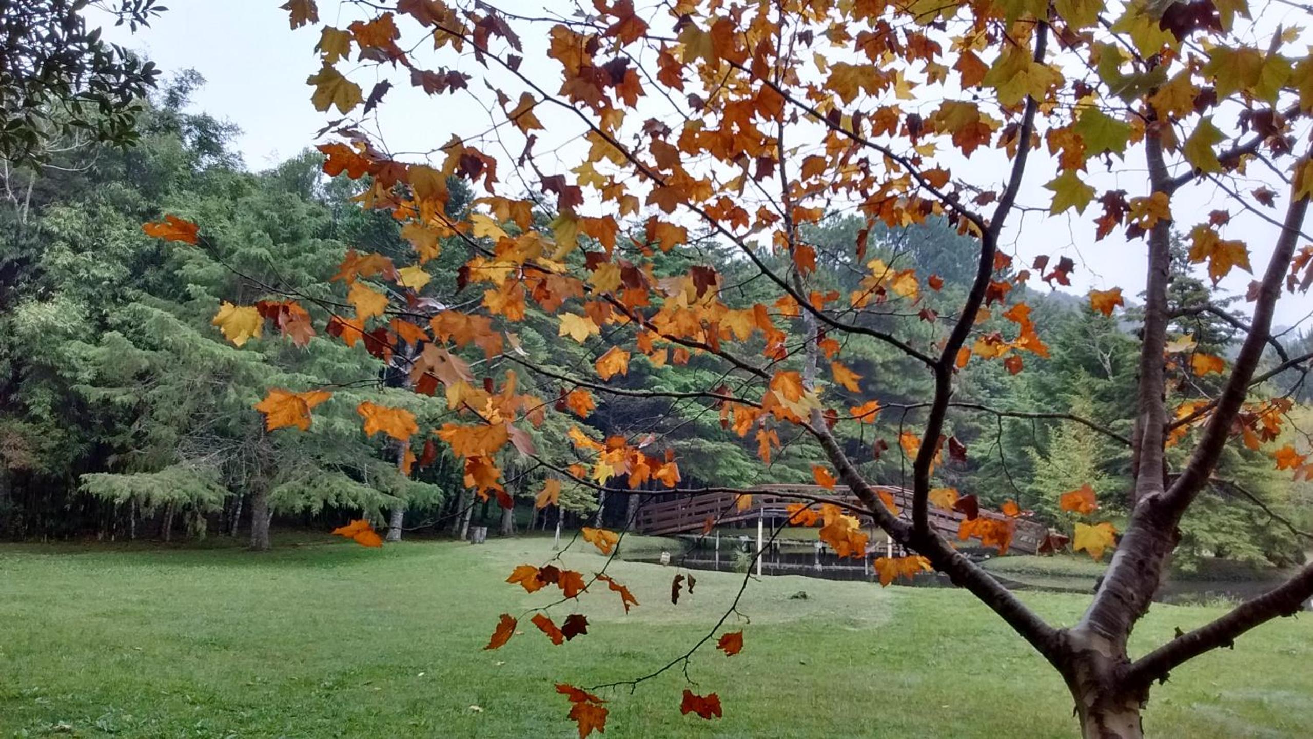 Recanto na Montanha de Gramado