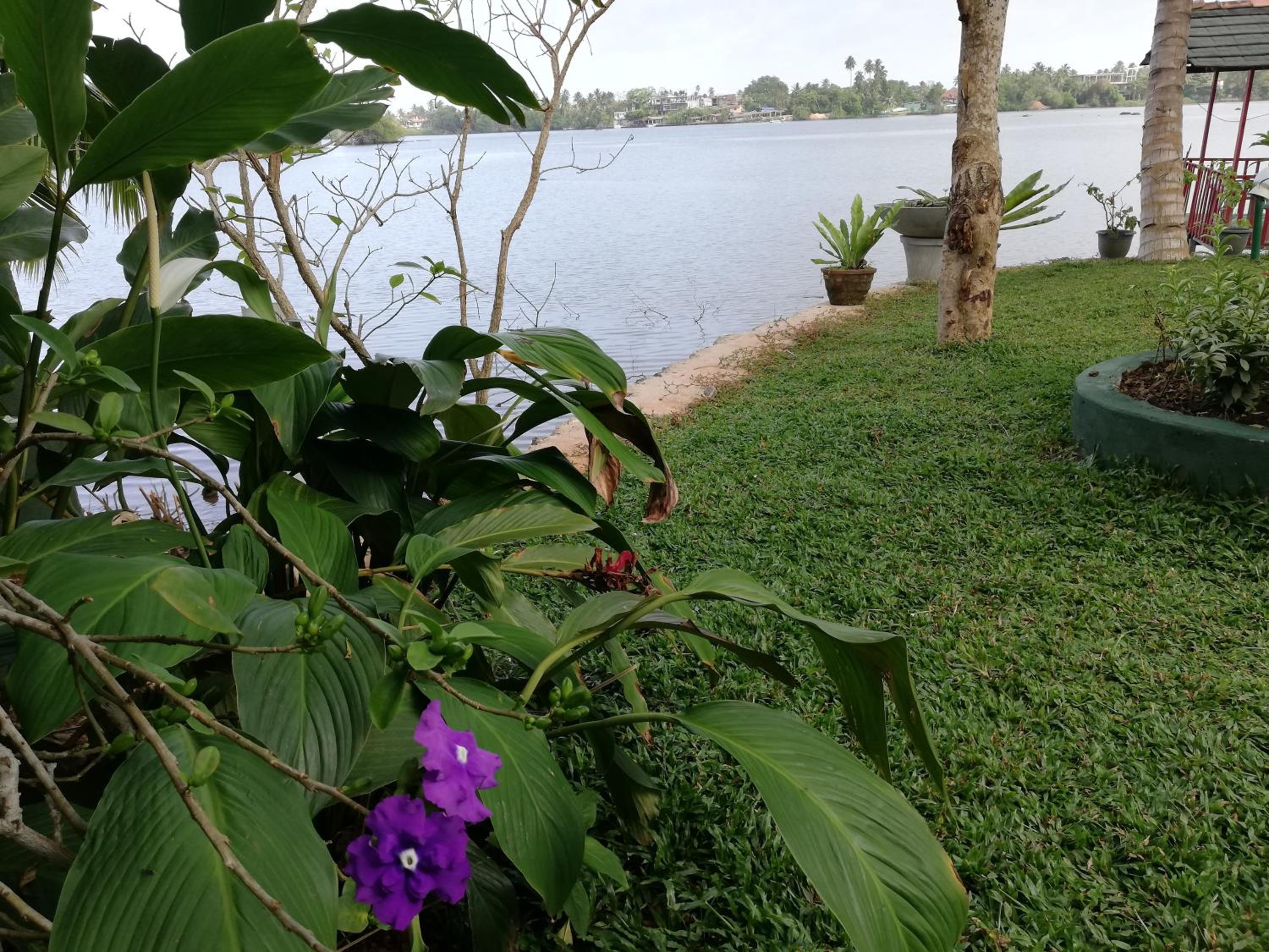 Mahi Villa