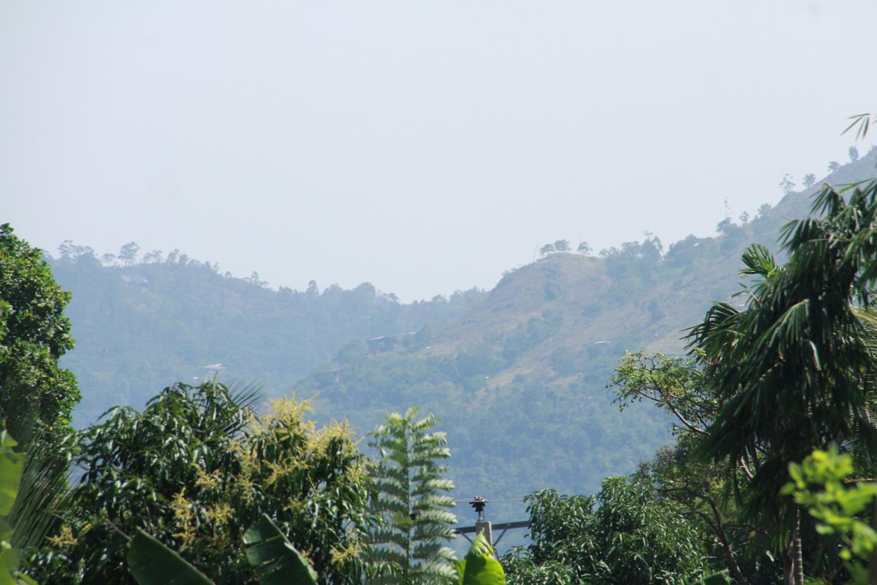 Anura Guest Inn