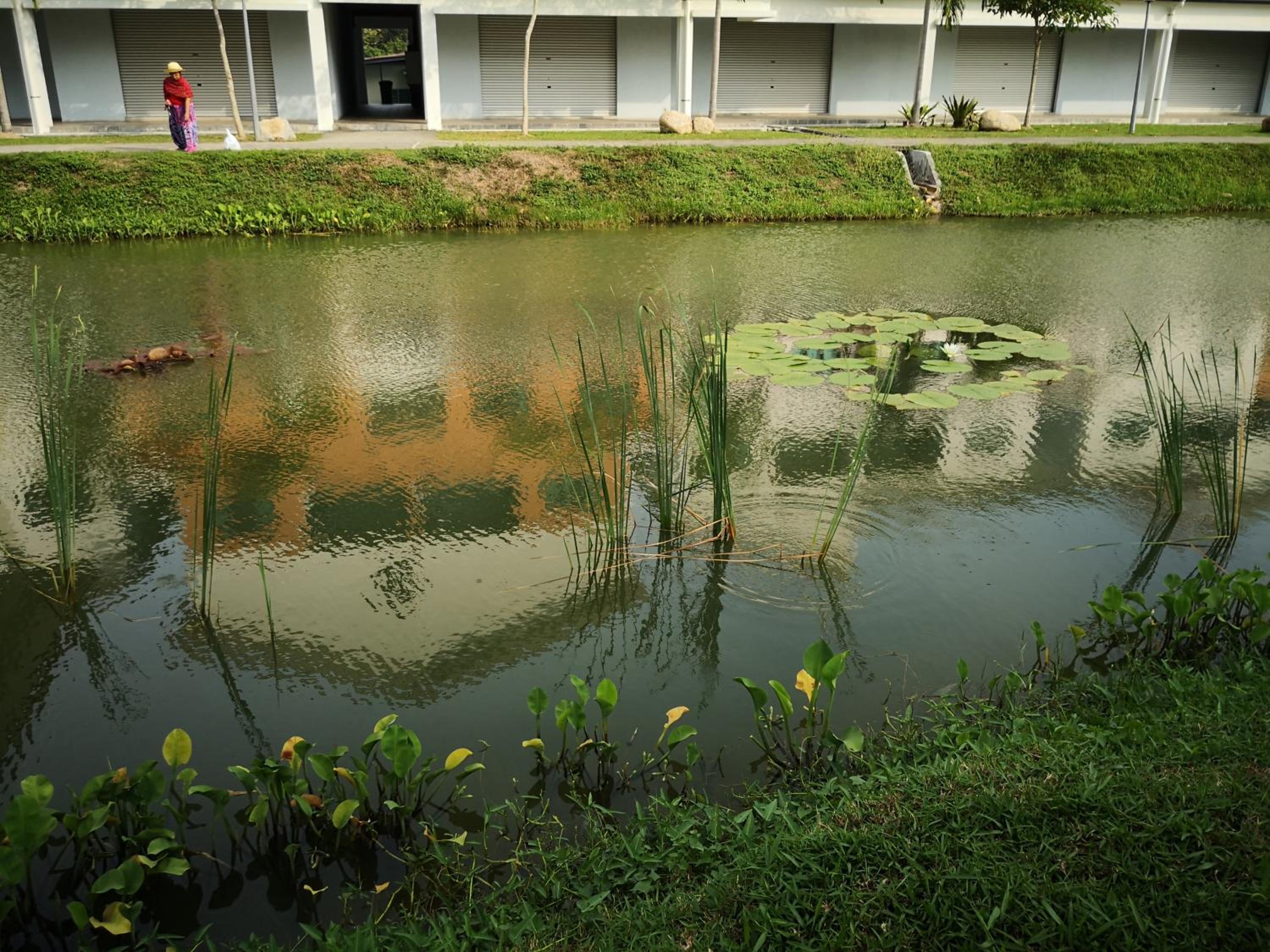 Photo 15