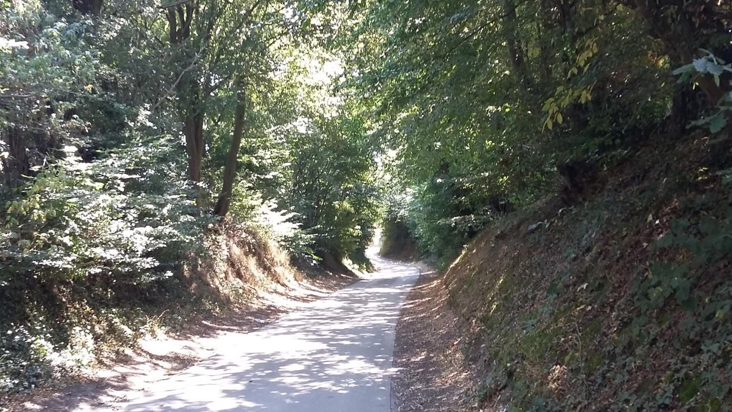 Au Fil des Rêves