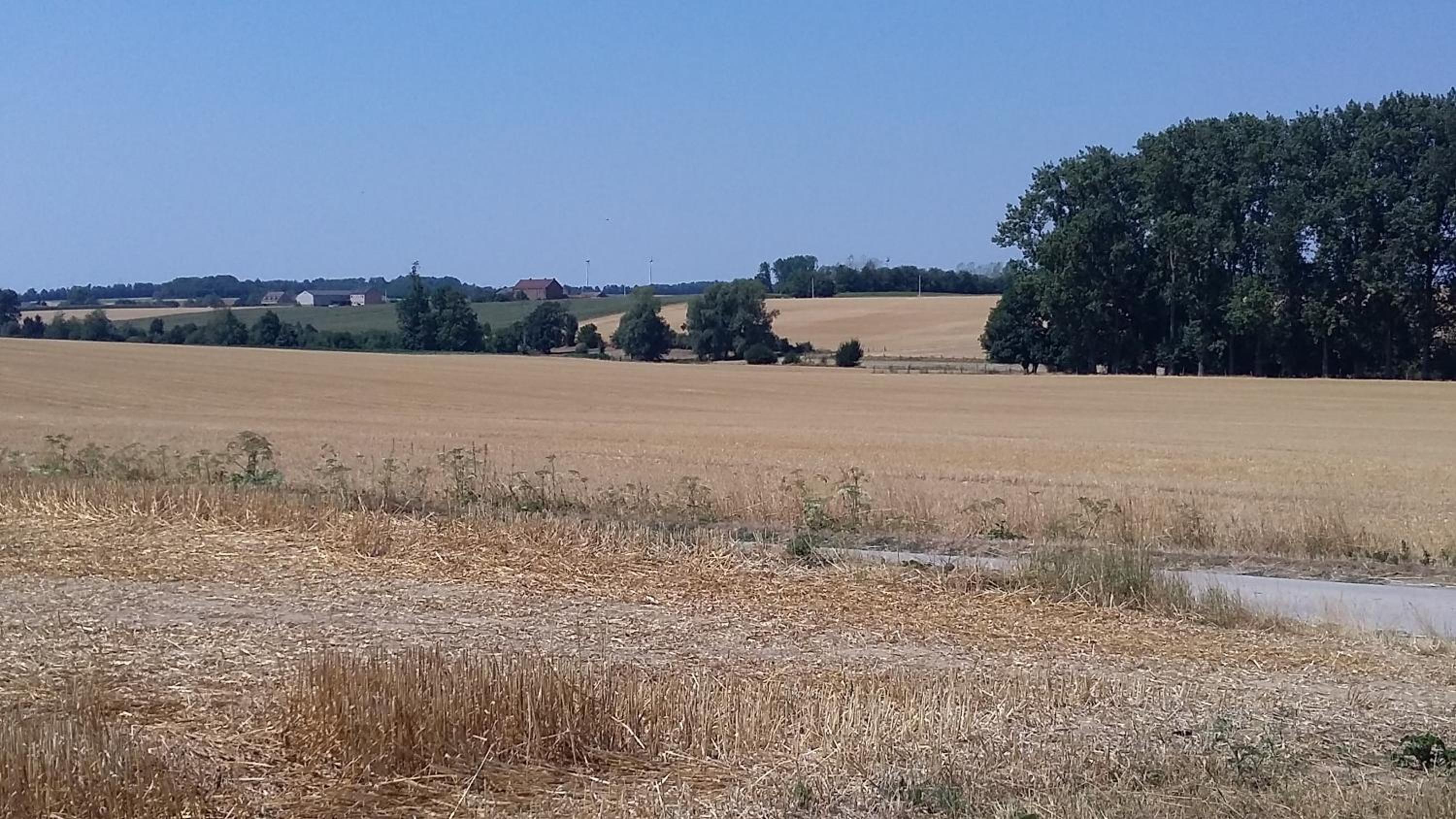 Au Fil des Rêves