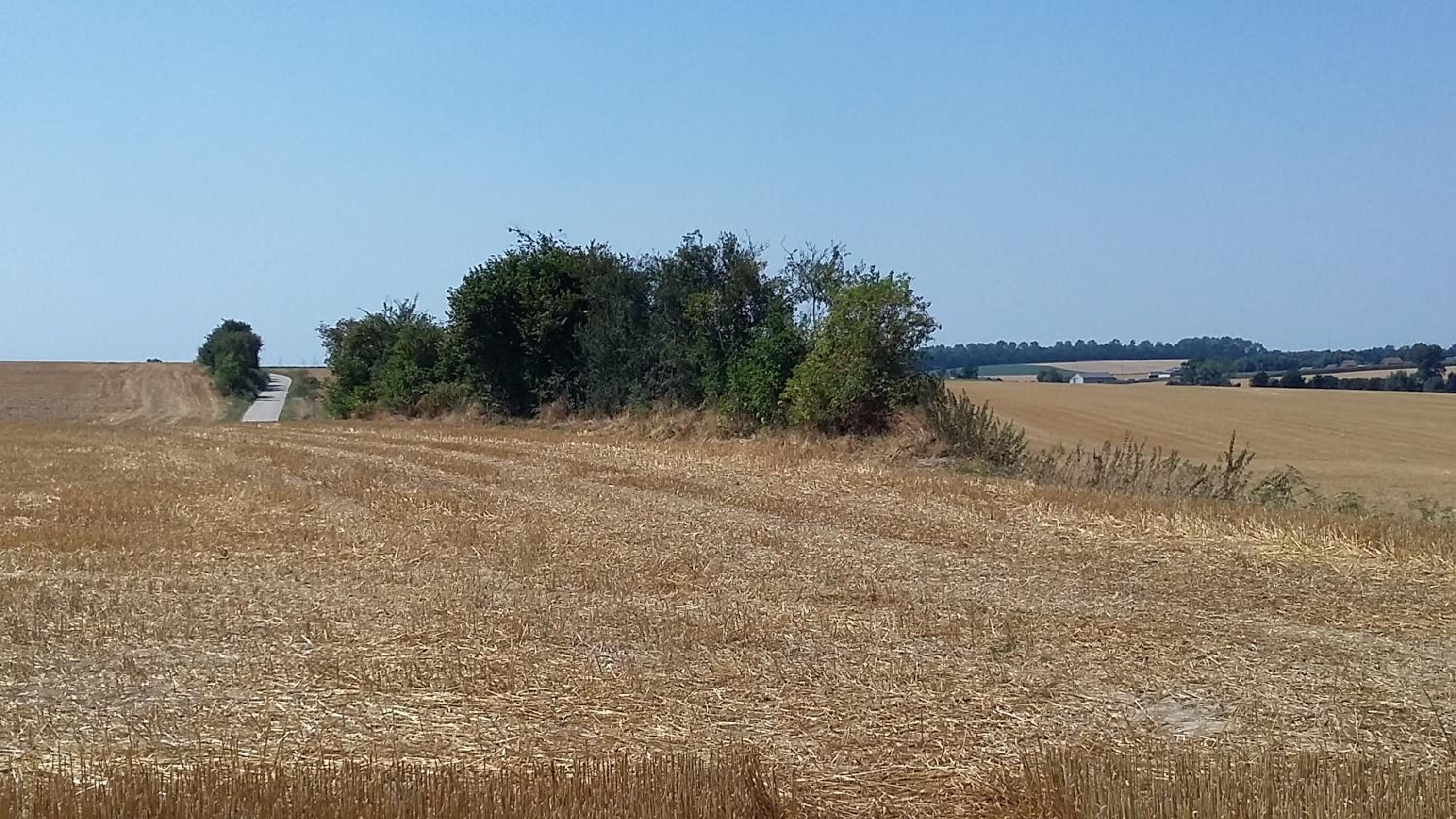 Au Fil des Rêves