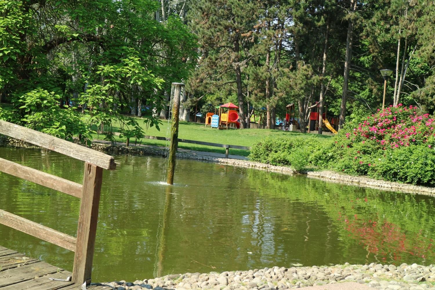 Photo 10